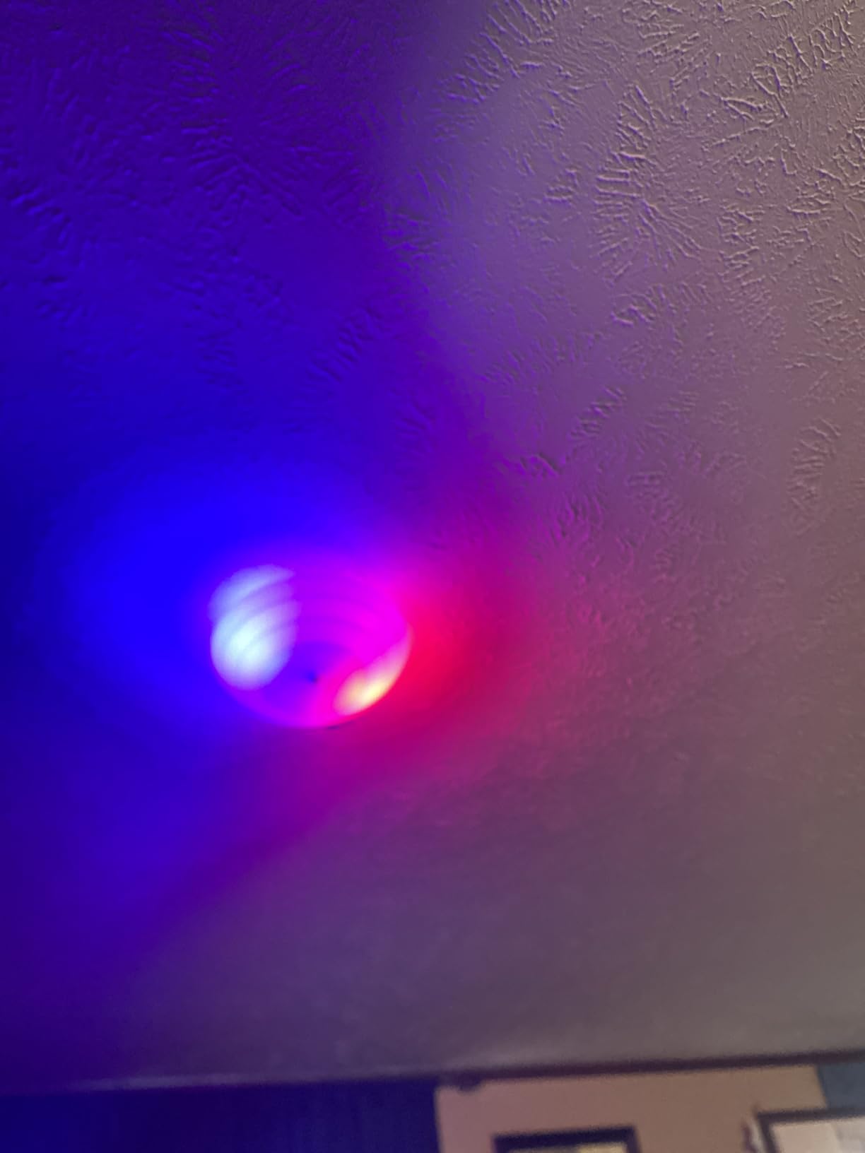 Cree Lighting Connected Max Smart LED Bulb A19 60W Tunable White + Color Changing, 2.4 GHz, Works with Alexa and Google Home, No Hub Required, Bluetooth + WiFi, 1-Pack customer photo 1