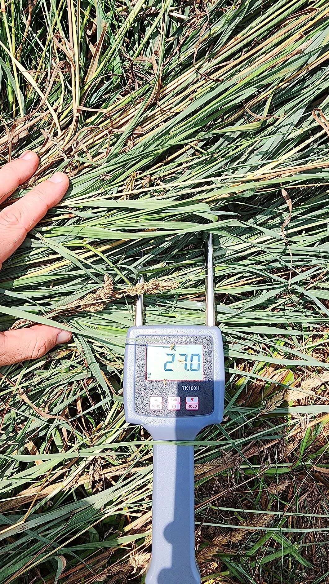 Hay Moisture Meter Portable Hay Moisture Tester with Backlight, ATC Moisture Tester for Hay Bales, Alfalfa, Orchard Grass (Model TK100H) customer photo 2