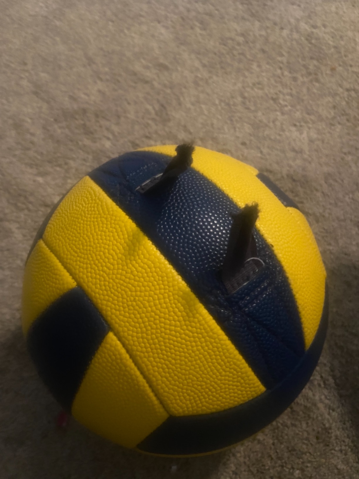 LIFETIME 91009 Portable Tetherball System, Black customer photo 2