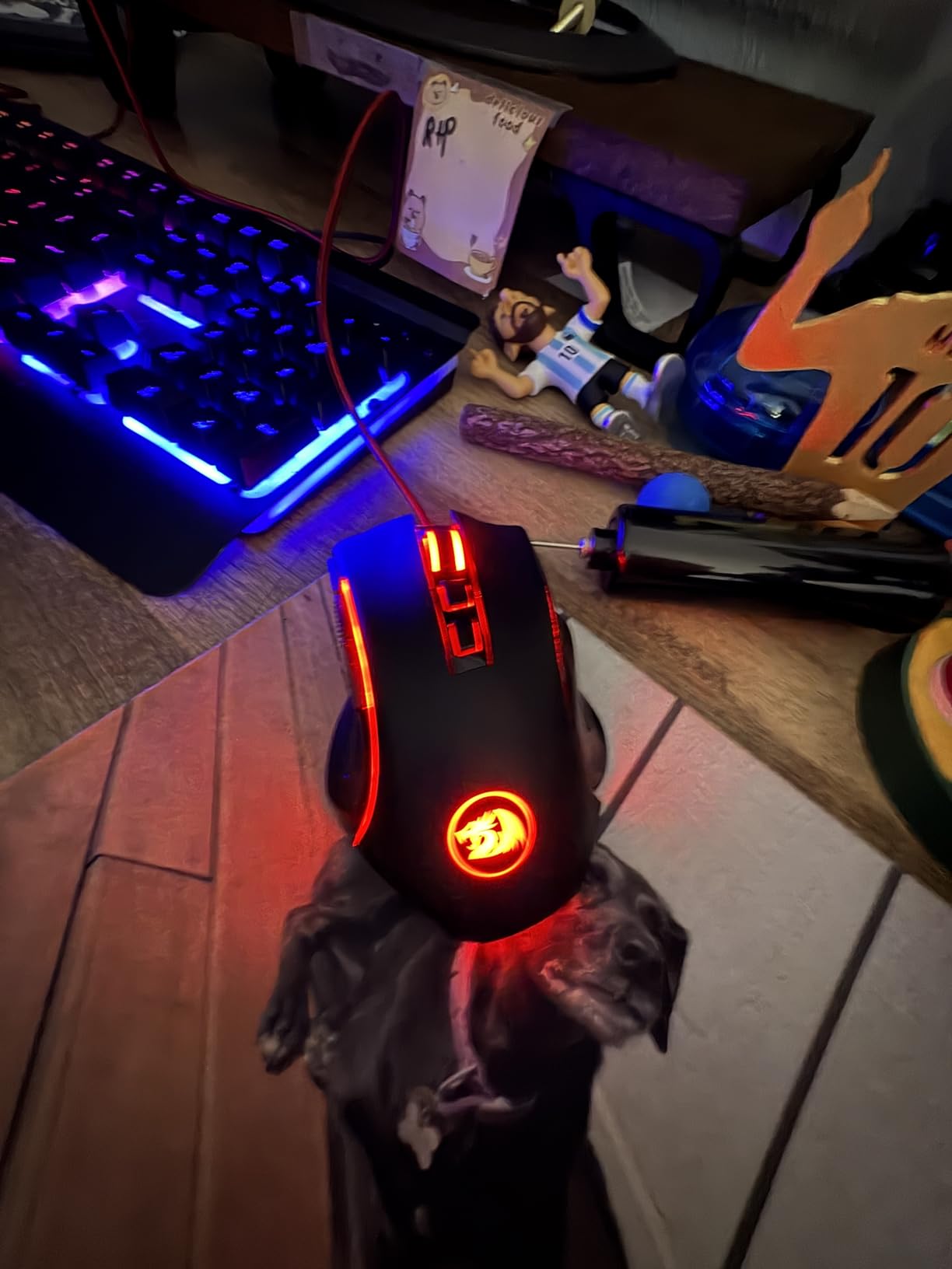 Redragon M602 Griffin RGB Gaming Mouse, Tri-Mode 2.4G/USB-C/Bluetooth Mouse Gaming, RGB Spectrum Backlit Ergonomic Mouse with 7 Programmable Backlight Modes up to 8000 DPI for Win PC Gamers (Wireless) customer photo 2