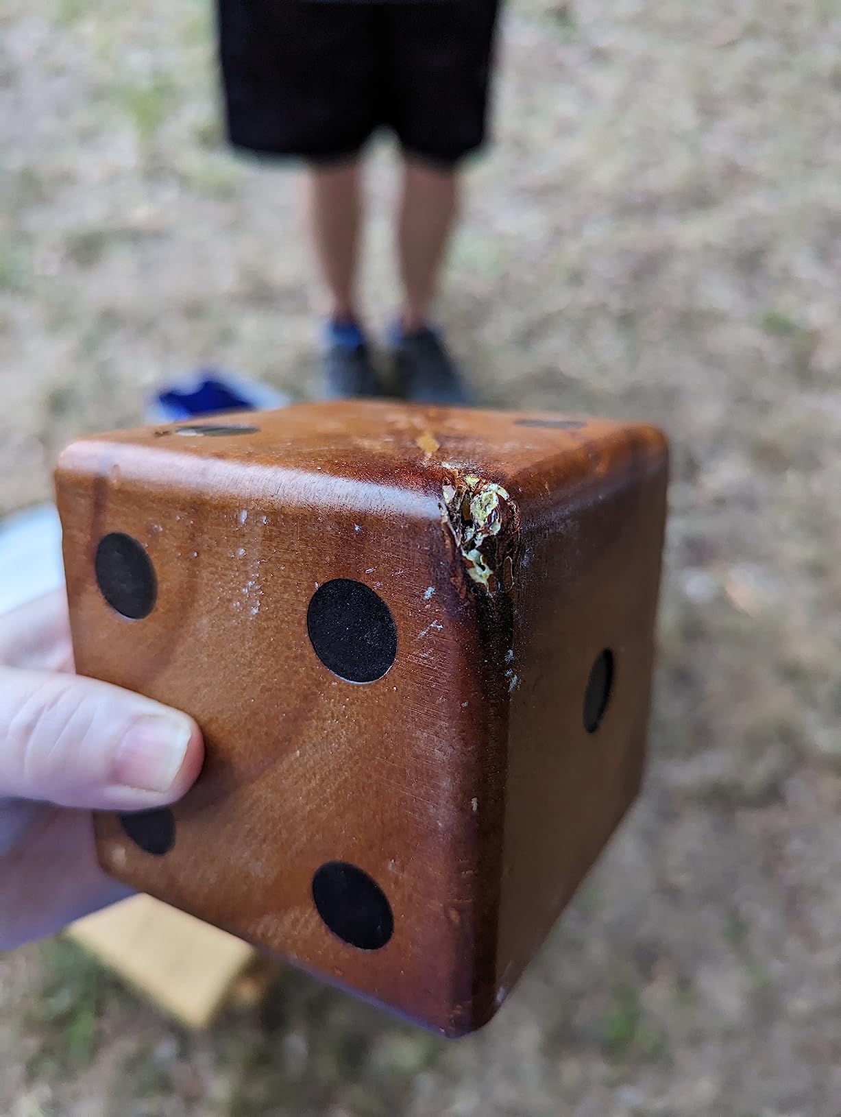 SpeedArmis Giant Wooden Yard Dice Set - Large Lawn Yatzee Game with Scoreboard - Outdoor Beach Backyard Games for Teens Adults Family (Including Carry Bag) customer photo 2