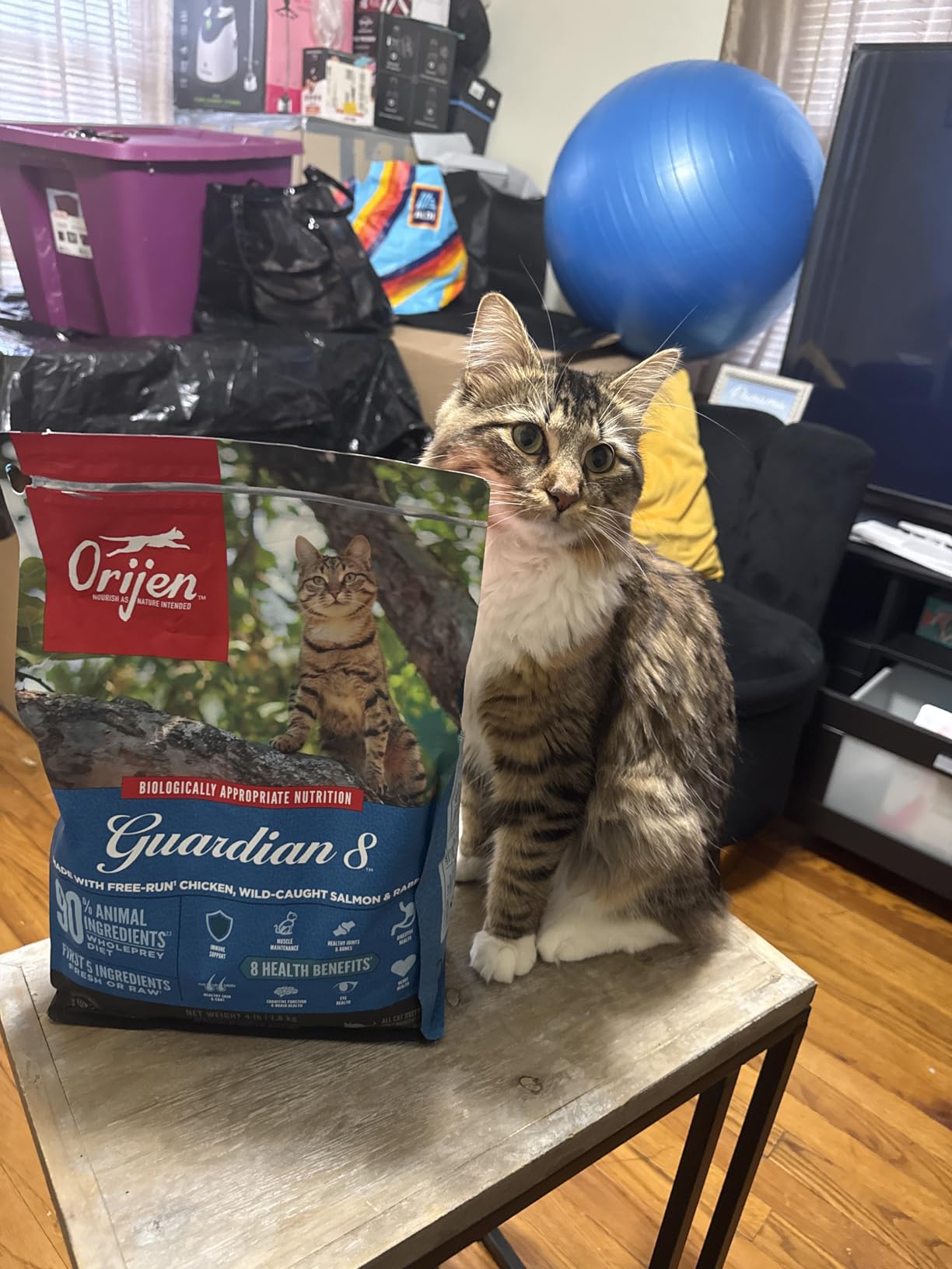 ORIJEN Guardian 8 Grain Free High Protein Premium Dry Cat Food 4lb Bag customer photo 2