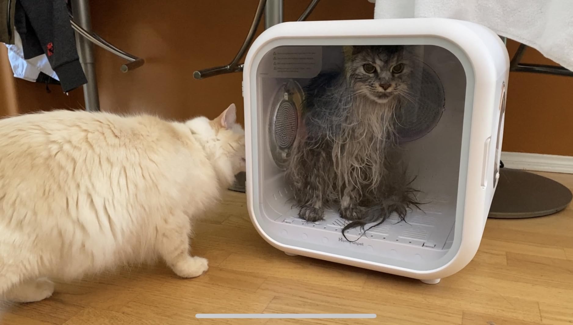 HomeRunPet Cat Dryer, Ultra Quiet, Patented Fresh Air Ventilation, Smart Temperature Control, Safe 360° Even Drying Pet Dryer Box for Cats & Small Dogs (50L Drybo Plus) customer photo 2