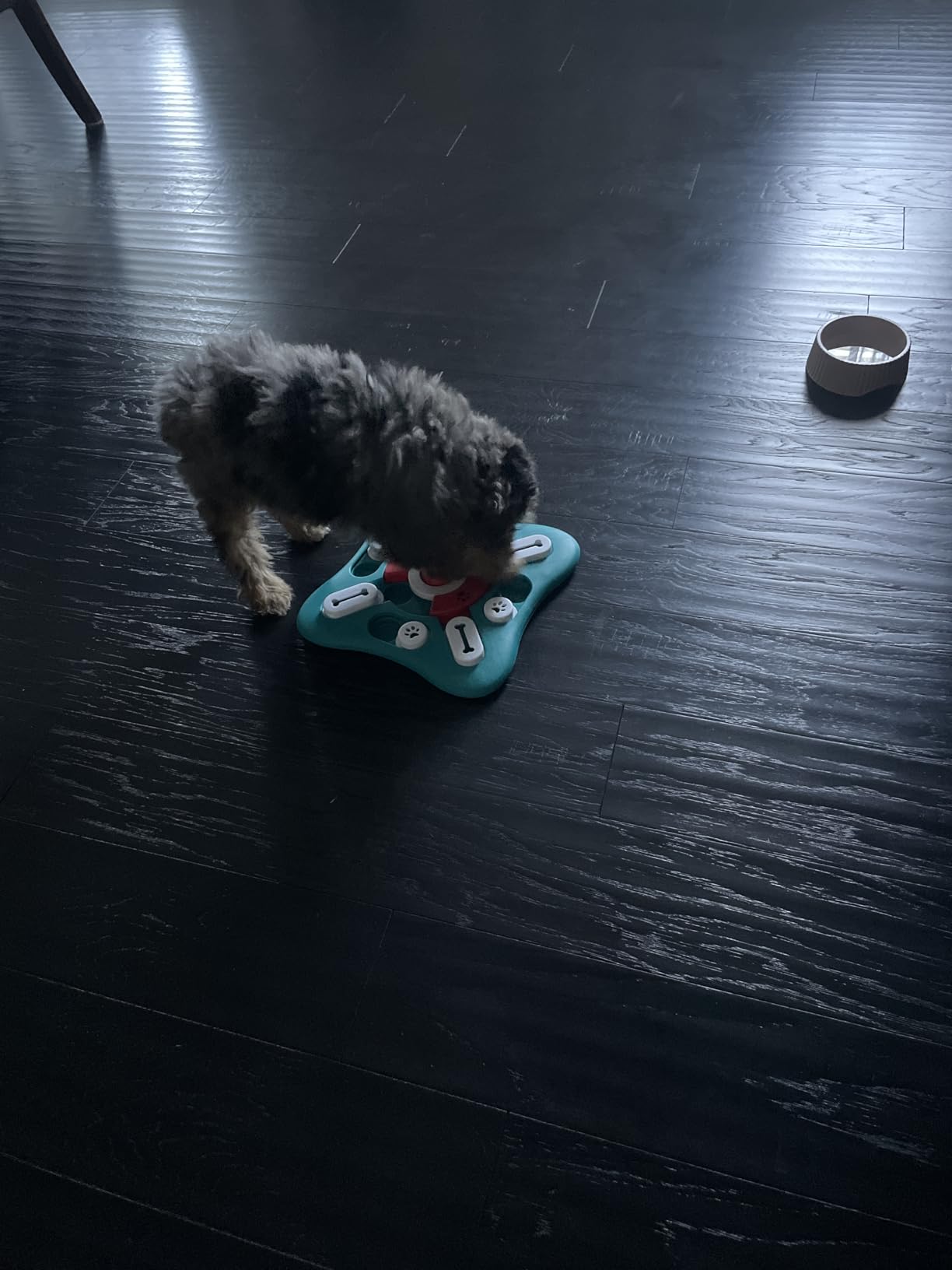 PETSTA Dog Puzzle Toys, Treat Dispensing Dog Enrichment Toys for IQ Training and Brain Stimulation, Interactive Mentally Stimulating Toys as Gifts for Puppies, Cats, Dogs customer photo 1