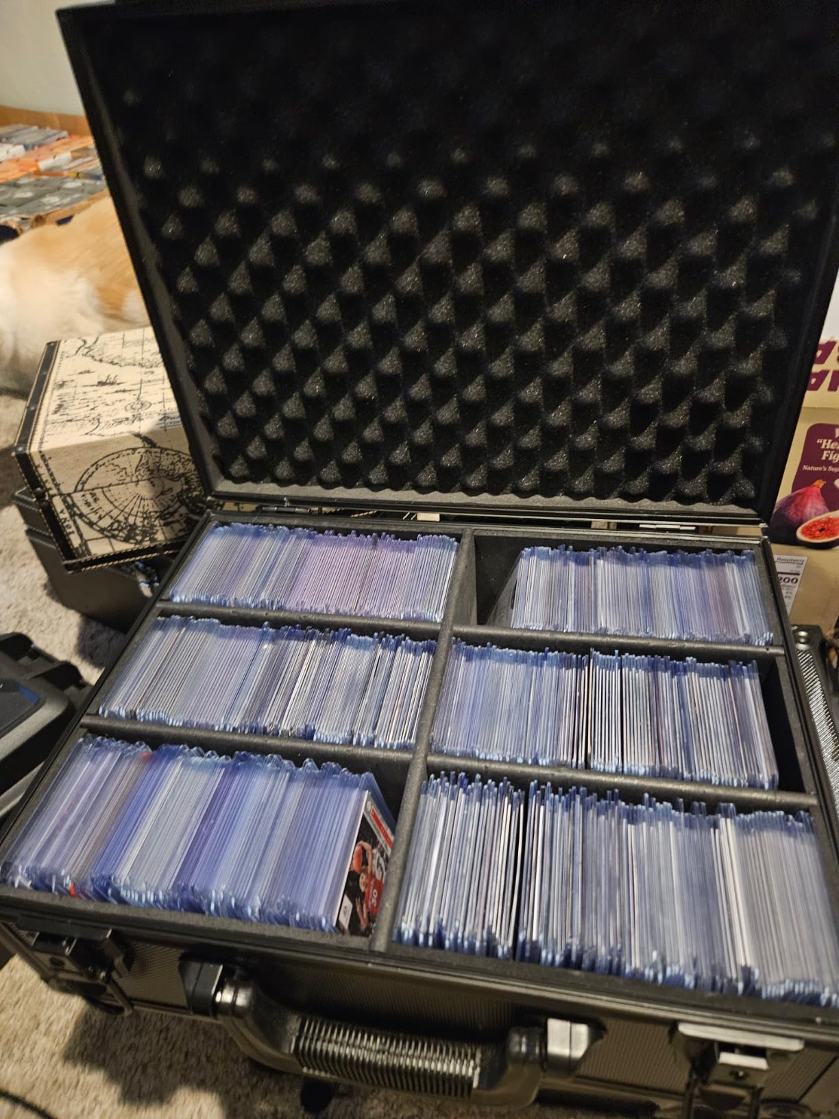 Waterproof Graded Card Storage Box Compatible with 102 Slabs, Sports Trading Card Case Fits PSA, CSG, BGS, CGC, SGC, Magnetic Cards Holder and Top Loaders customer photo 1