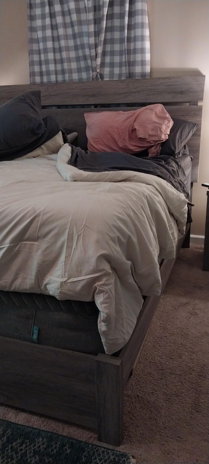 Bedsure Queen Comforter Set - Beige Soft Bedding for All Seasons, Cationic Dyed Bed Set, 3 Pieces, 1 Queen Size Comforter (90x90) and 2 Pillow Shams (20x26+2) customer photo 1