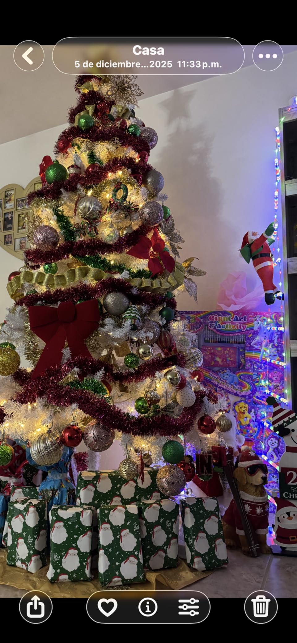 Toodour LED Christmas Lights - 10ft Christmas Decorative Ladder Lights with Santa Claus, Xmas Decorations Light for Indoor Outdoor, Window, Garden, Home, Wall, Xmas Tree Decor - Multicolor customer photo 2