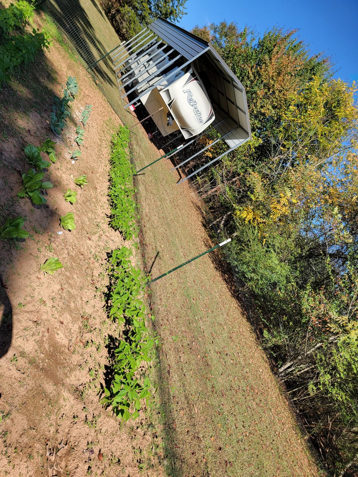 Mklsit Deer Netting Fence, 8ft x 100ft Bird Netting customer photo 2