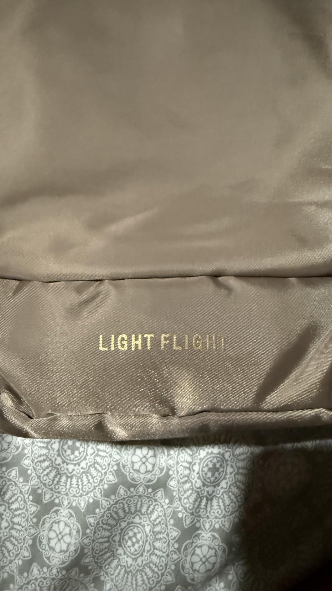 LIGHT FLIGHT Travel Laptop Backpack Women, 15.6 Inch Laptop Backpack with USB Charging Hole, Water Resistant College Bookbag, Black Computer Backpacks for Work, Champagne customer photo 2