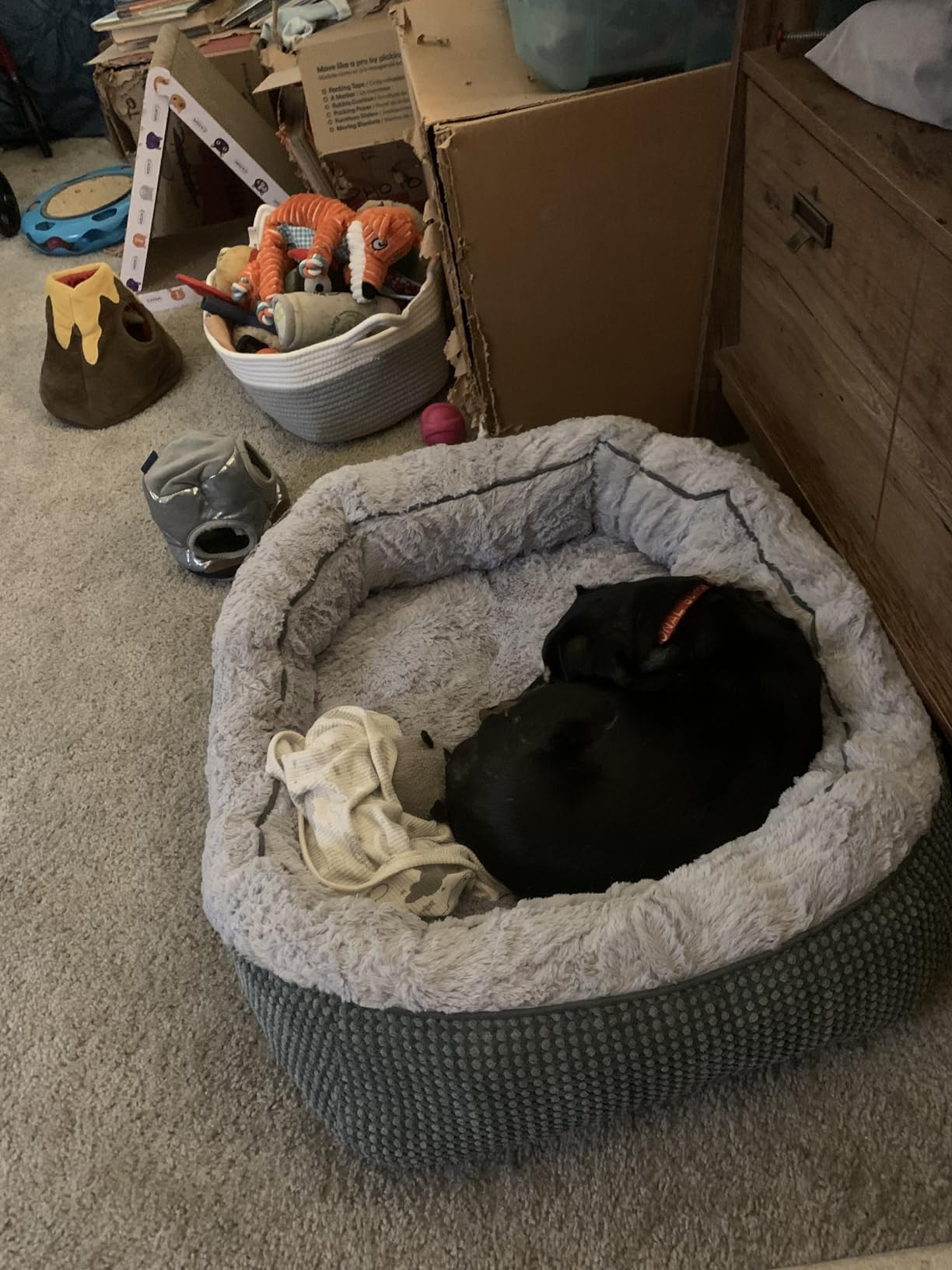 INVENHO Medium Dog Beds for Medium Dogs Washable, Rectangle Dog Bed Medium Size Dog, Orthopedic Dog Bed, Warming Soft Calming Sleeping Puppy Bed Durable Pet Bed with Anti-Slip Bottom M(30