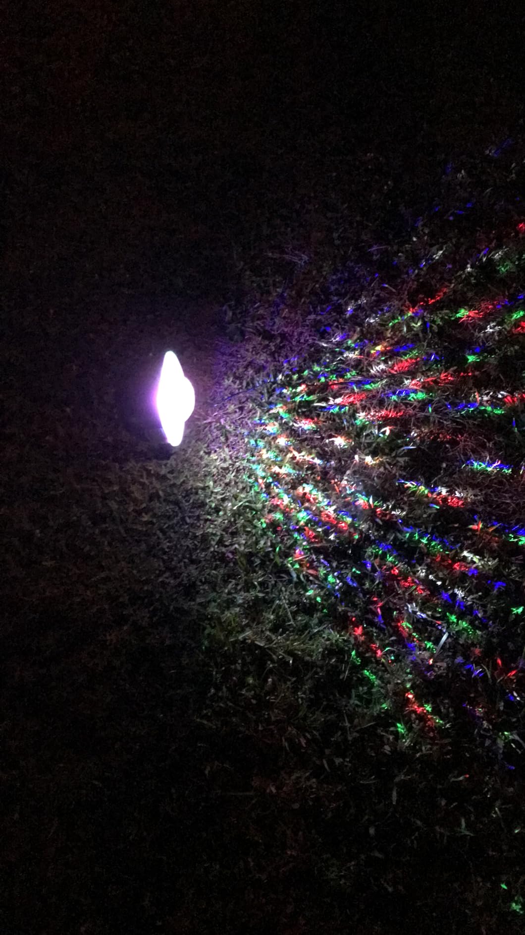 Christmas Halloween Projector Lights Outdoor,Indoor 15 Colors Snowfall Rotating Falling Snow Projector with Remote and Timer,Waterproof Landscape Lights for Home Yard Garden Window Christmas Decor customer photo 2