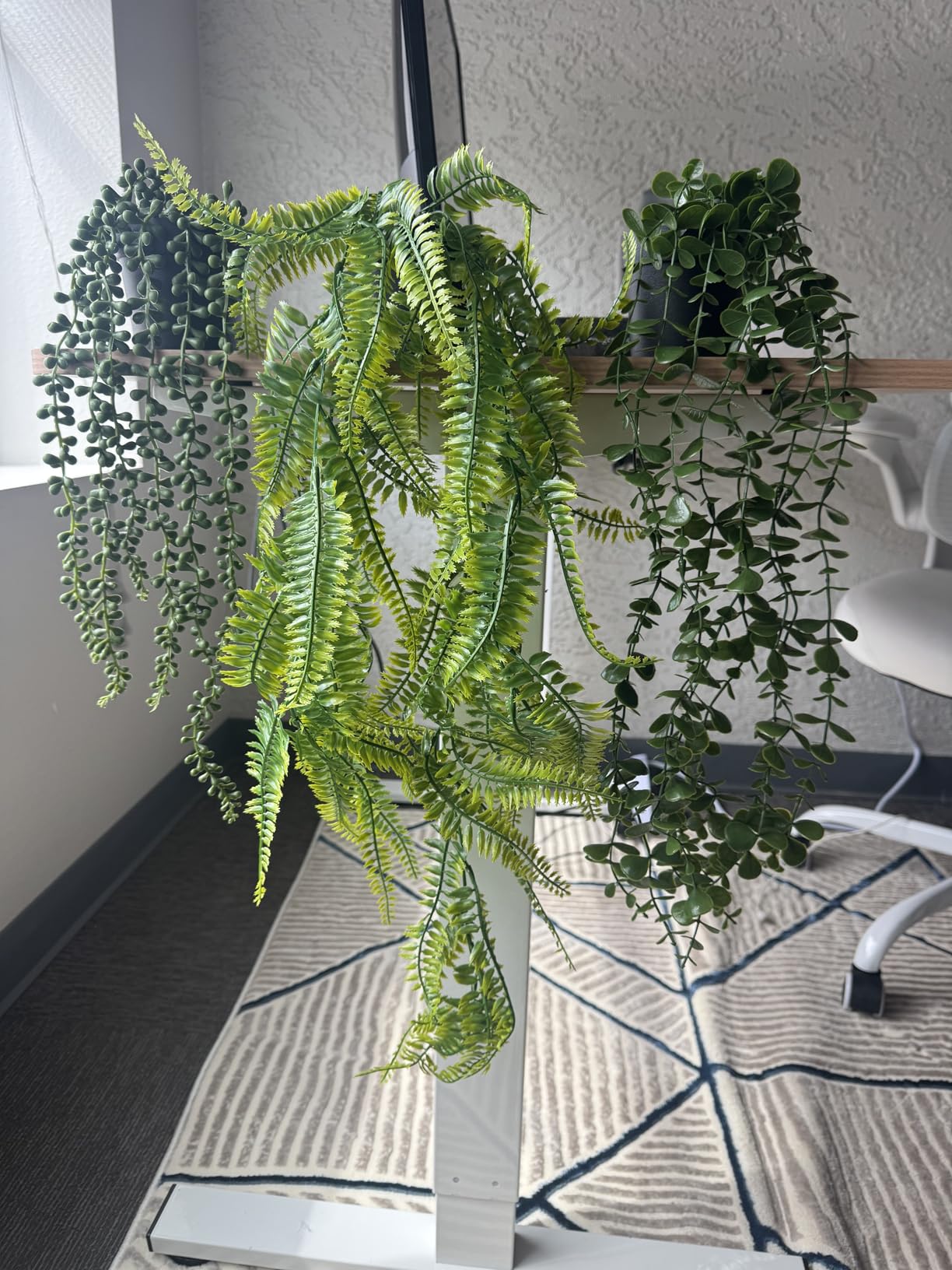Der Rose 4Pcs Fake Plants Hanging Artificial Ivy Vine Faux Eucalyptus Hanging Plants, Boston Fern, String of Pearls for Living Room Aesthetic Bedroom Boho Kitchen Wall Shelf Indoor Outdoor Decor customer photo 1
