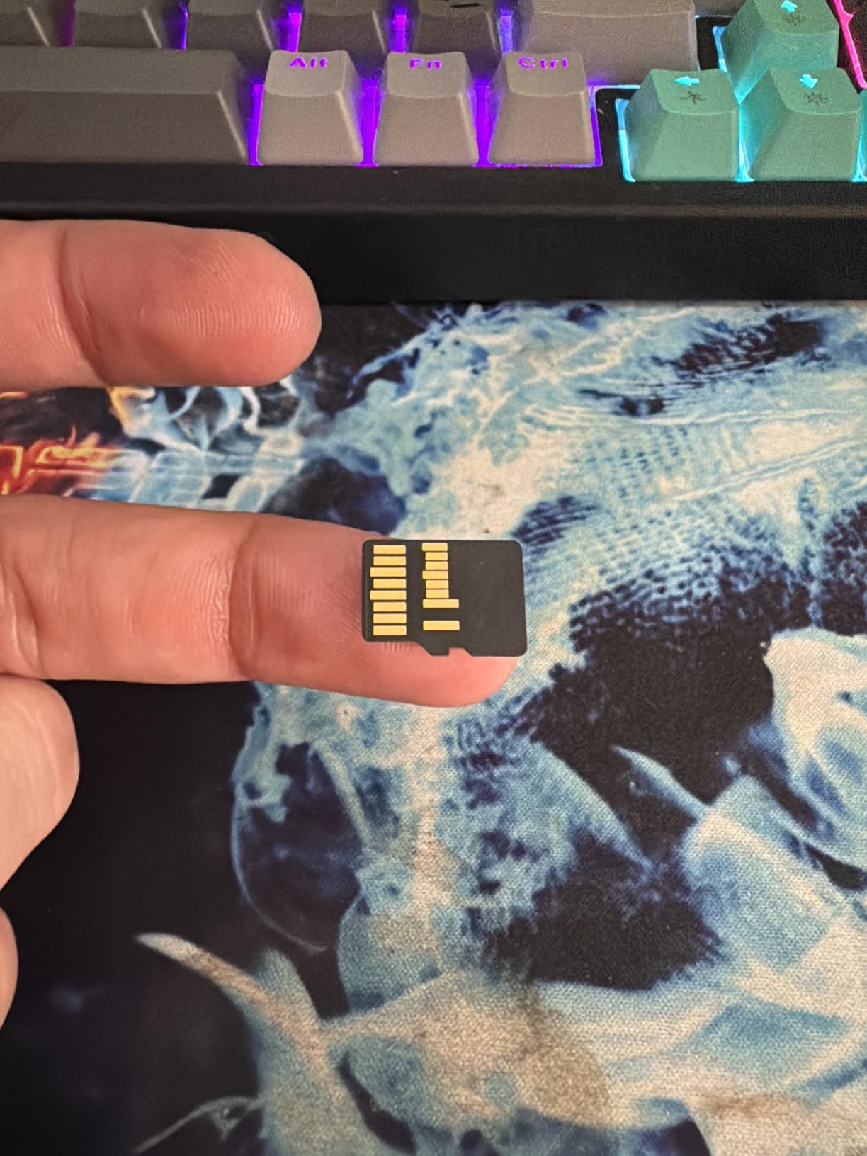 Lexar 256GB Professional Gold Micro SD Card, UHS-II, C10, U3, V60, A1, Full HD, 4K, Up to 280/180 MB/s microSDXC Memory Card (LMSGOLD256G-BNNNG) customer photo 2