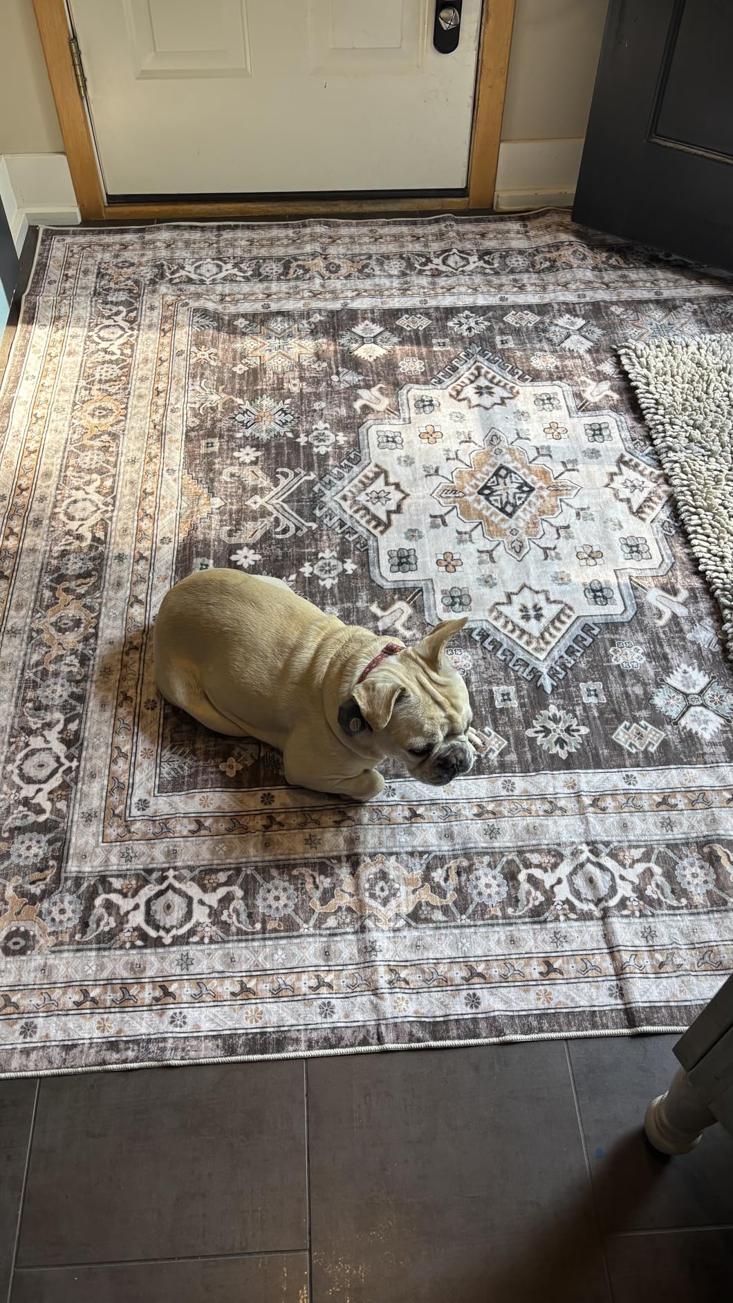 Vintage Living Room Area Rug 5x7 - Large Soft Washable Oriental Traditional Distressed Farmhouse Rugs for Bedroom - Indoor Floor Accent Carpet for Home Office House Decor - Beige customer photo 2