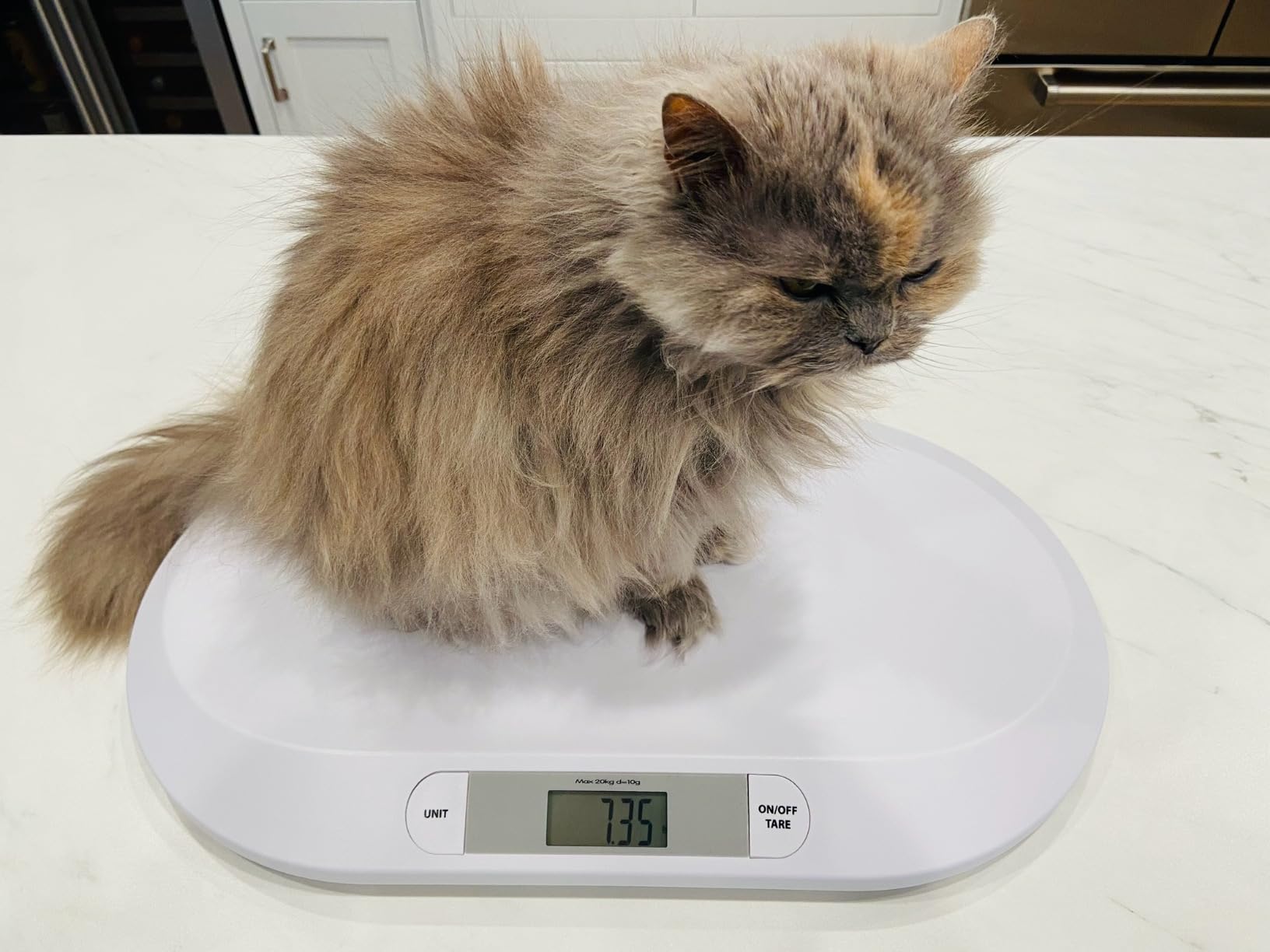 SIKE Medium-Small Veterinary Scale, Dog Scale (+/-10g) Accuracy, Max 220lbs, Digital Pet Scales and USB Recharging Cord Included, 27 x 13 inch Tempered Glass Platform with Anti Slip Sticker customer photo 1