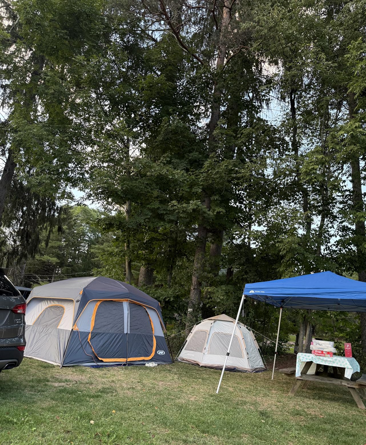 UNP 2/4/6/8 Person Tent, Portable Cabin Tent, Camping Tent 4-Person Easy Set Up, Waterproof with Top Rainfly for Outdoor Camping/Hiking customer photo 2