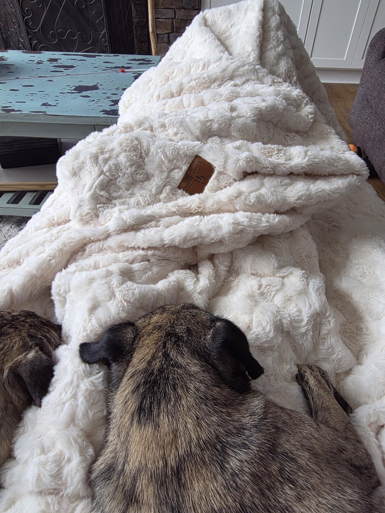 Bearhug Heated Blanket King Size, 100