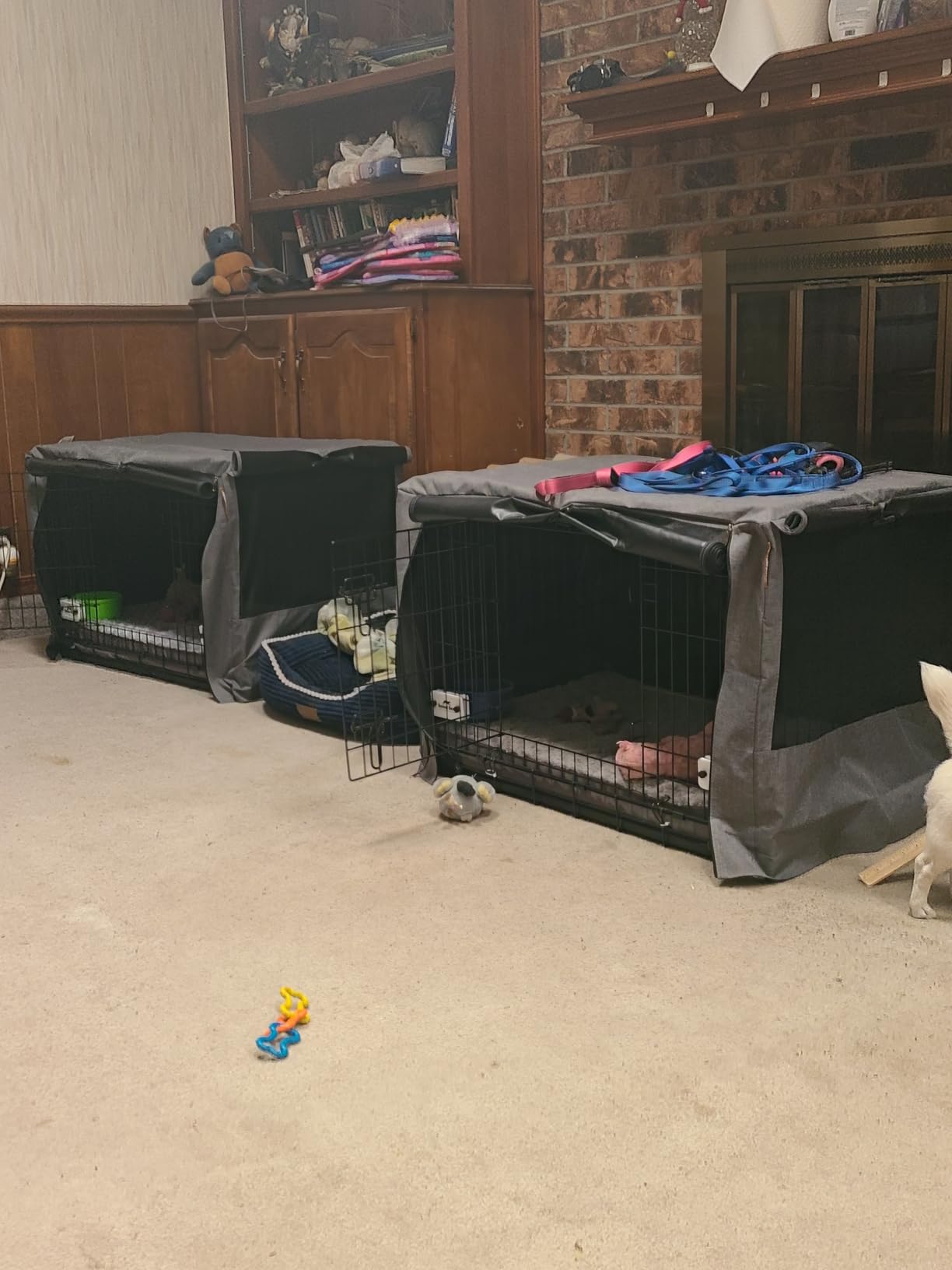 DUMOS Dog Crate, 36 Inch Medium Double Door Dog Cage with Plastic Leak-Proof Pan Tray, Handle, Folding Metal Wire Pet Kennel for Indoor, Outdoor, Travel customer photo 1