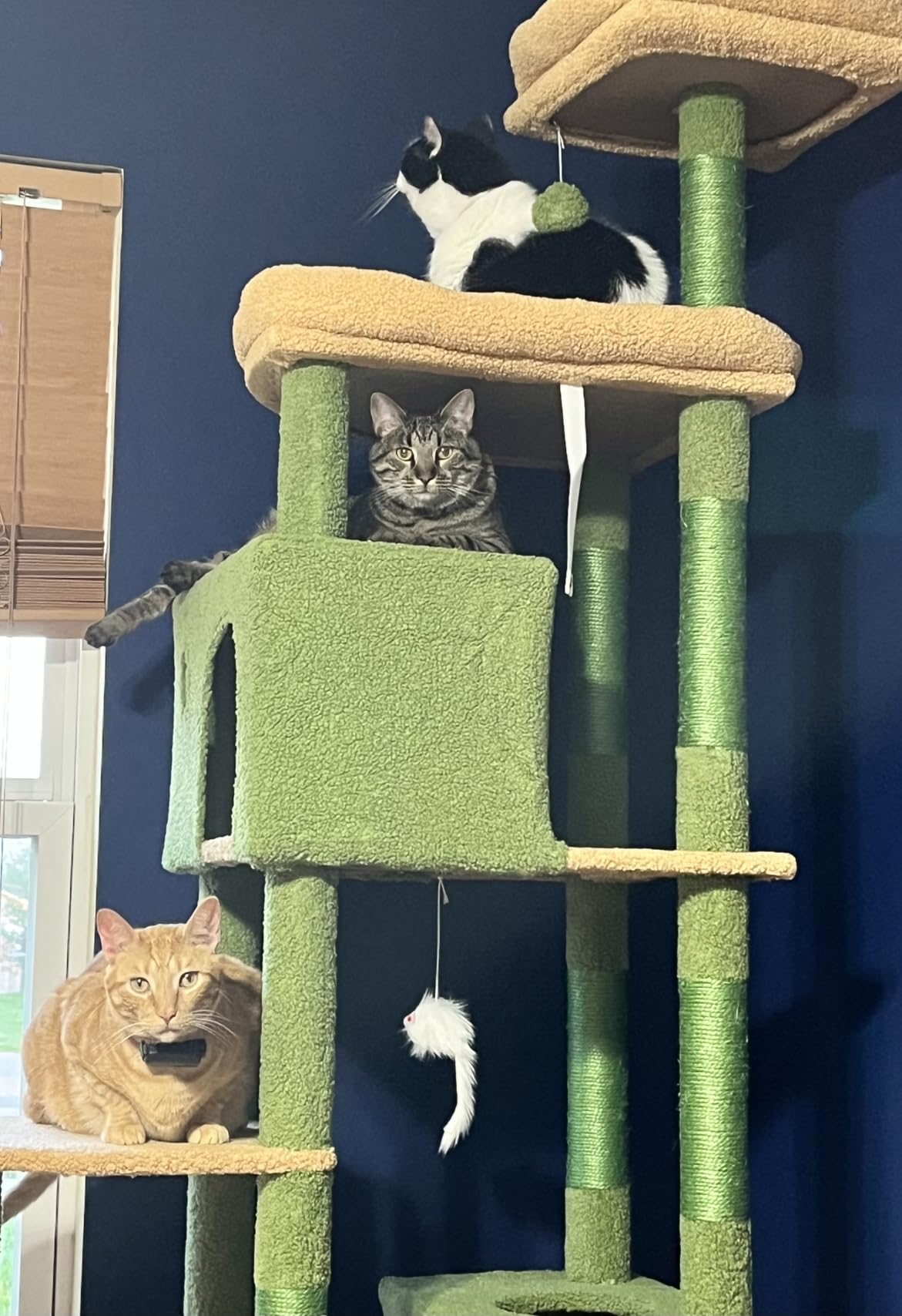 Globlazer Giant Cat Tree for Indoor Large Cats, 83in, F83, Dark Grey customer photo 1