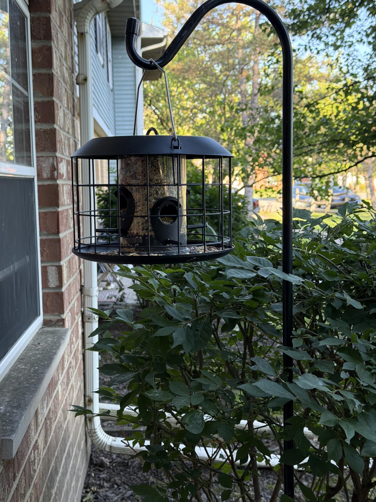 Kingsyard Tube Squirrel Proof Bird Feeders for Outdoor Hanging, Metal Caged | Rain Proof Covered, Wildbirds Finches Bluebird, 4 Feeding Ports, Green customer photo 1