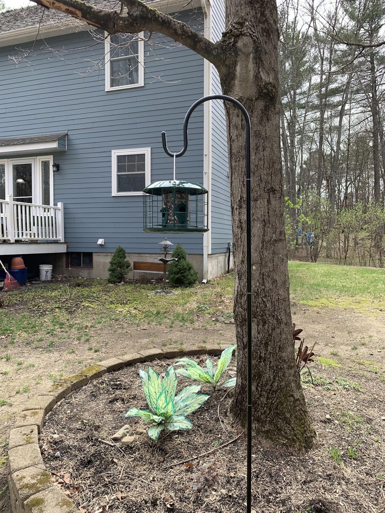 Kingsyard Tube Squirrel Proof Bird Feeders for Outdoor Hanging, Metal Caged | Rain Proof Covered, Wildbirds Finches Bluebird, 4 Feeding Ports, Green customer photo 2