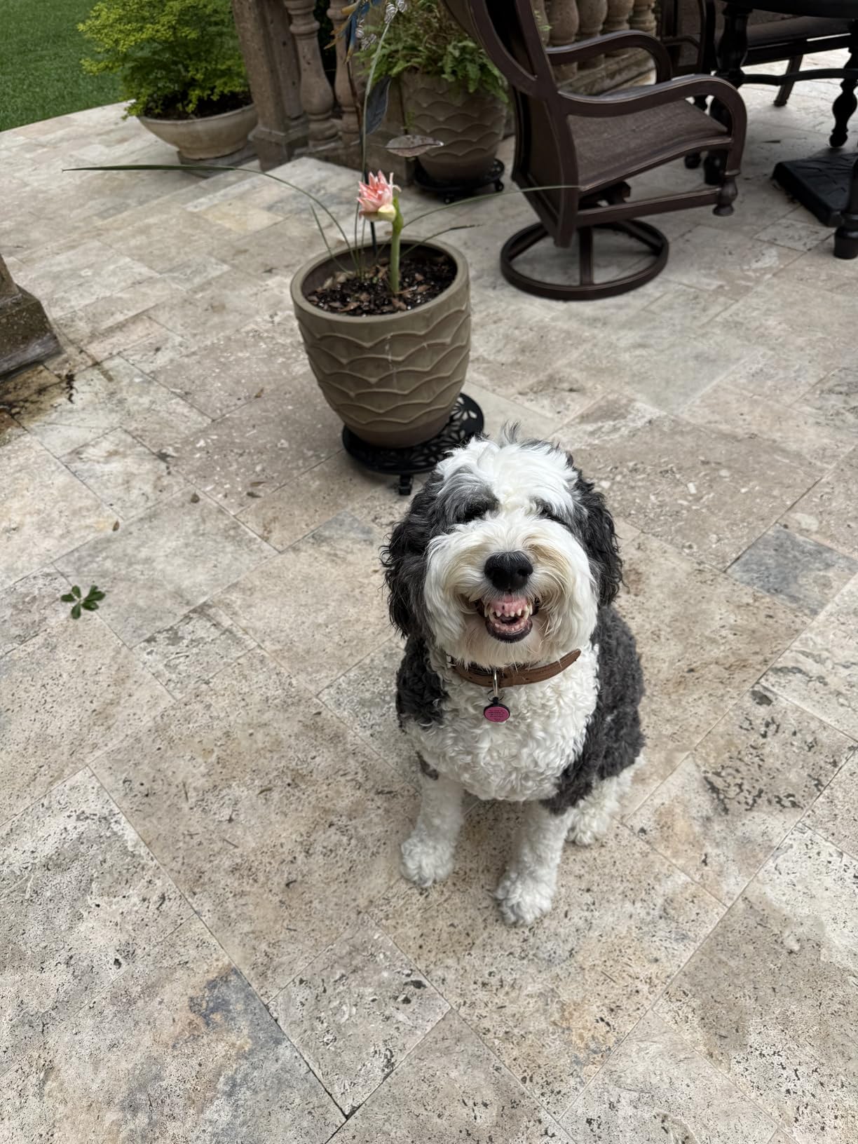 Underground Wire Locator - Rechargeable Cable & Pet Fence Break Detector, 2.6ft Depth, Earphone Support, Model NF-817L customer photo 1