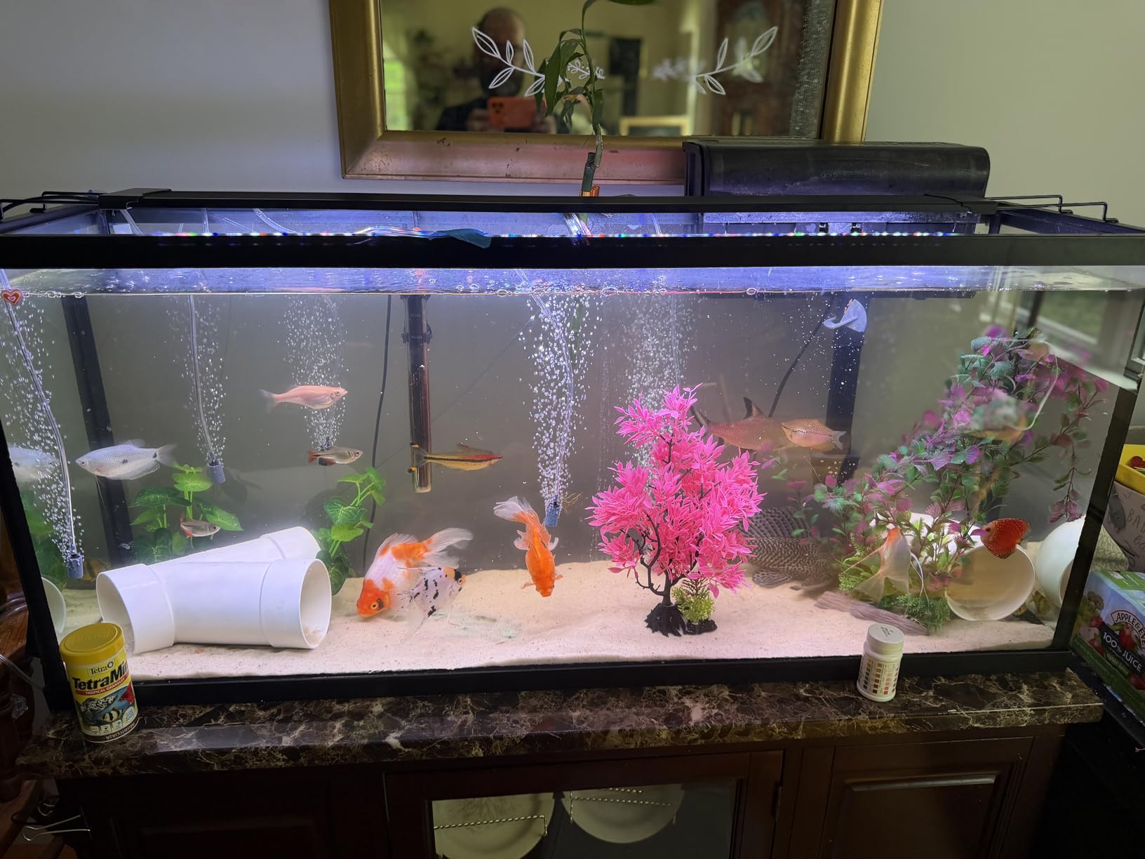 AQQA LED Aquarium Light, 24/7 Mode IP68 Waterproof Extendable Bracket Fish Tank Light, DIY Mode Full Spectrum Aquarium Plant Light, Adjustable Timer/Brightness Memory Function for 40-48 Inch Fish Tank customer photo 1