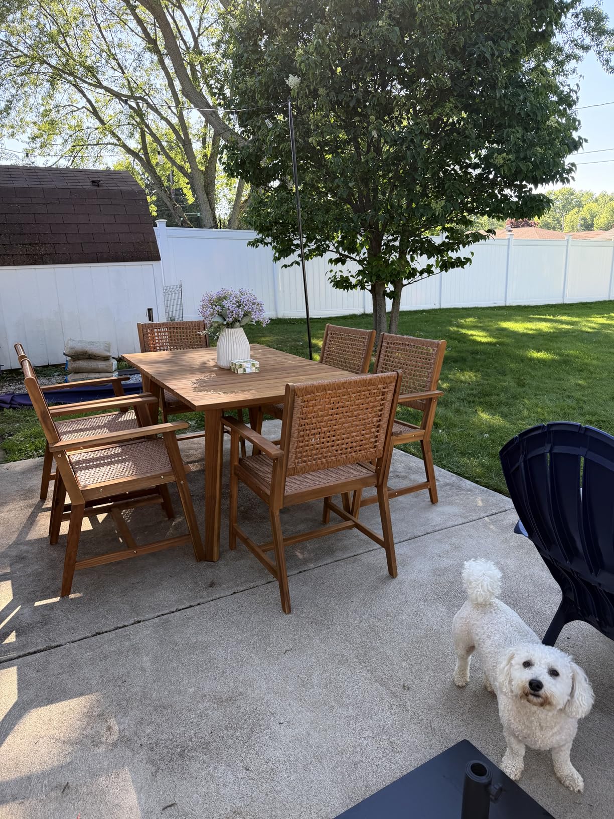 Sophia & William Outdoor Dining Set, Patio Furniture Set with Table and Chairs Set Wooden, Rattan Furniture Set of 8 Chairs and 1 Acacia Wood Rectangular Table for Yard, Garden, Porch and Poolside customer photo 1