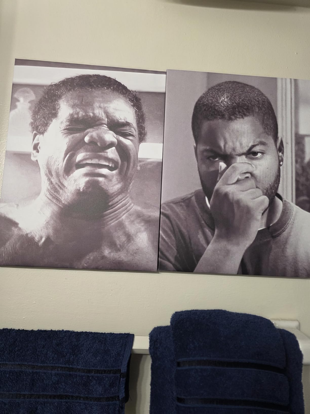 Framed Funny Bathroom Canvas Wall Art Set of 2 - Black and White Vintage Comedy Movies Posters, Funny Toilet Humour Smell Wall Decor Prints for Bathroom Decor 12x16in customer photo 1