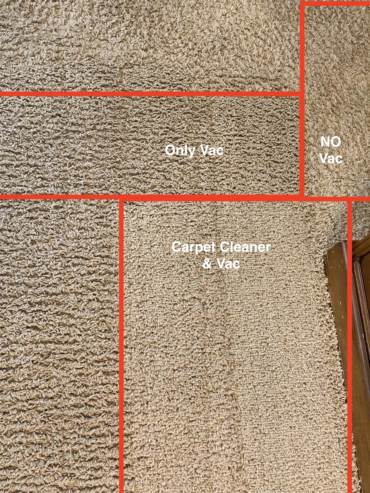 CARPET ONE Cruiser Smart Carpet Cleaner, Self-Cleaning and FlashDry, Deep Cleaning for Pet, Carpet and Upholstery, 167 PowerDry, 130W Powerful suction SmoothPower customer photo 1
