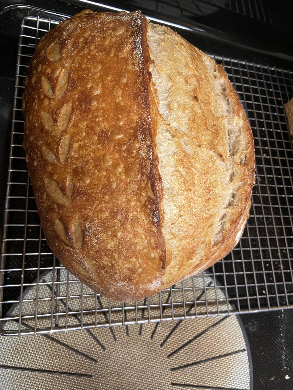 Brod & Taylor Ultralight Baking Shell for Sourdough Bread (Batard) - No Preheating Needed for Crispy Crust and Even Baking customer photo 1
