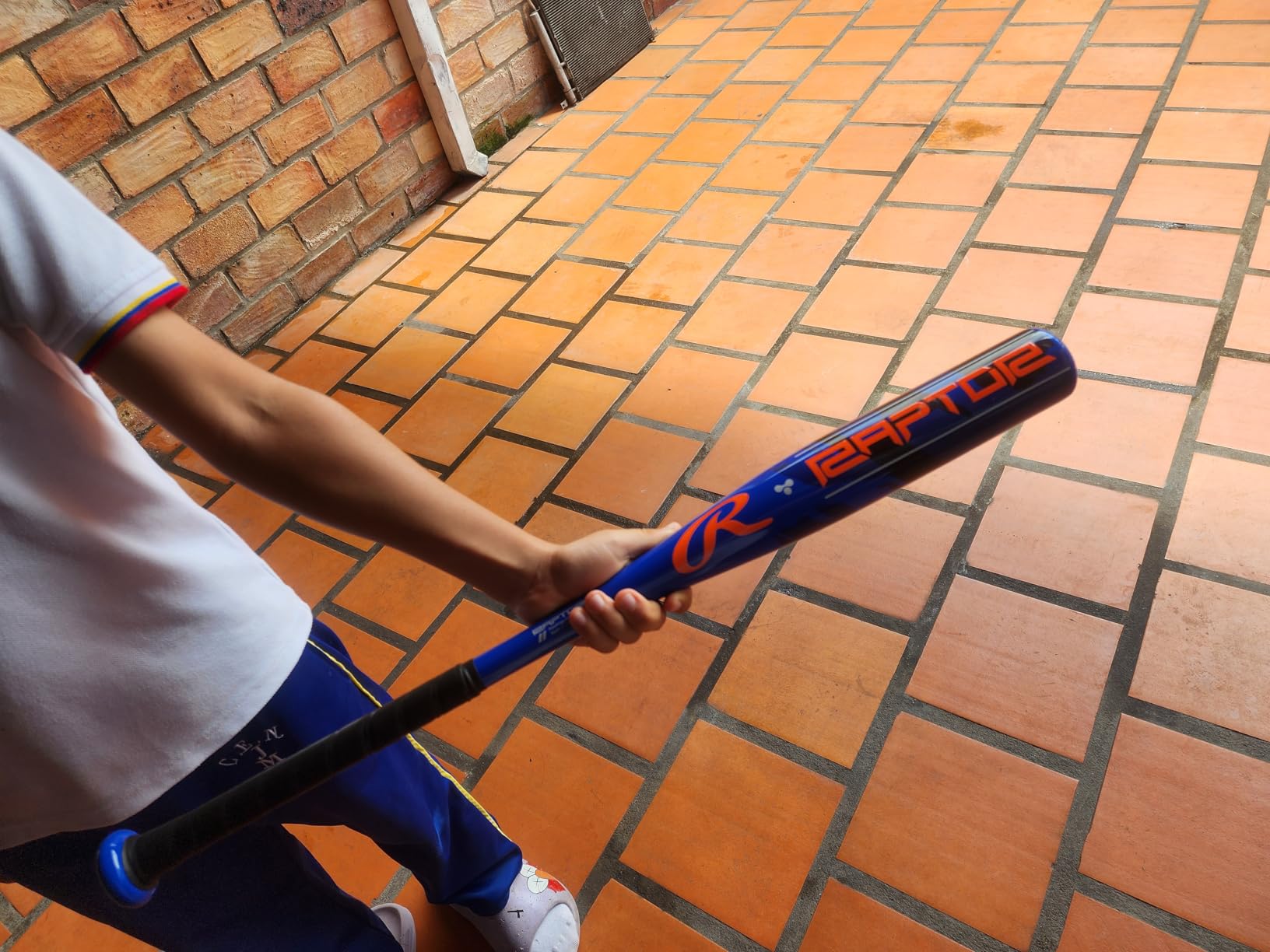 Rawlings | Raptor Youth Baseball Bat | USA | -10 Drop | 2 1/4