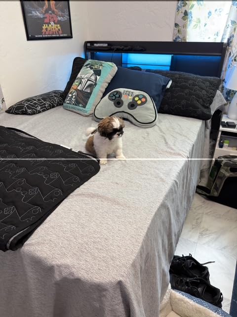 Furnulem Queen Bed Frame with Storage Drawers, Upholstered Headboard with LED Light & Charging Station, Metal Platform Bed Frame Queen Size, Noise Free, No Box Spring Needed, Black (1200 lbs Capacity) customer photo 2