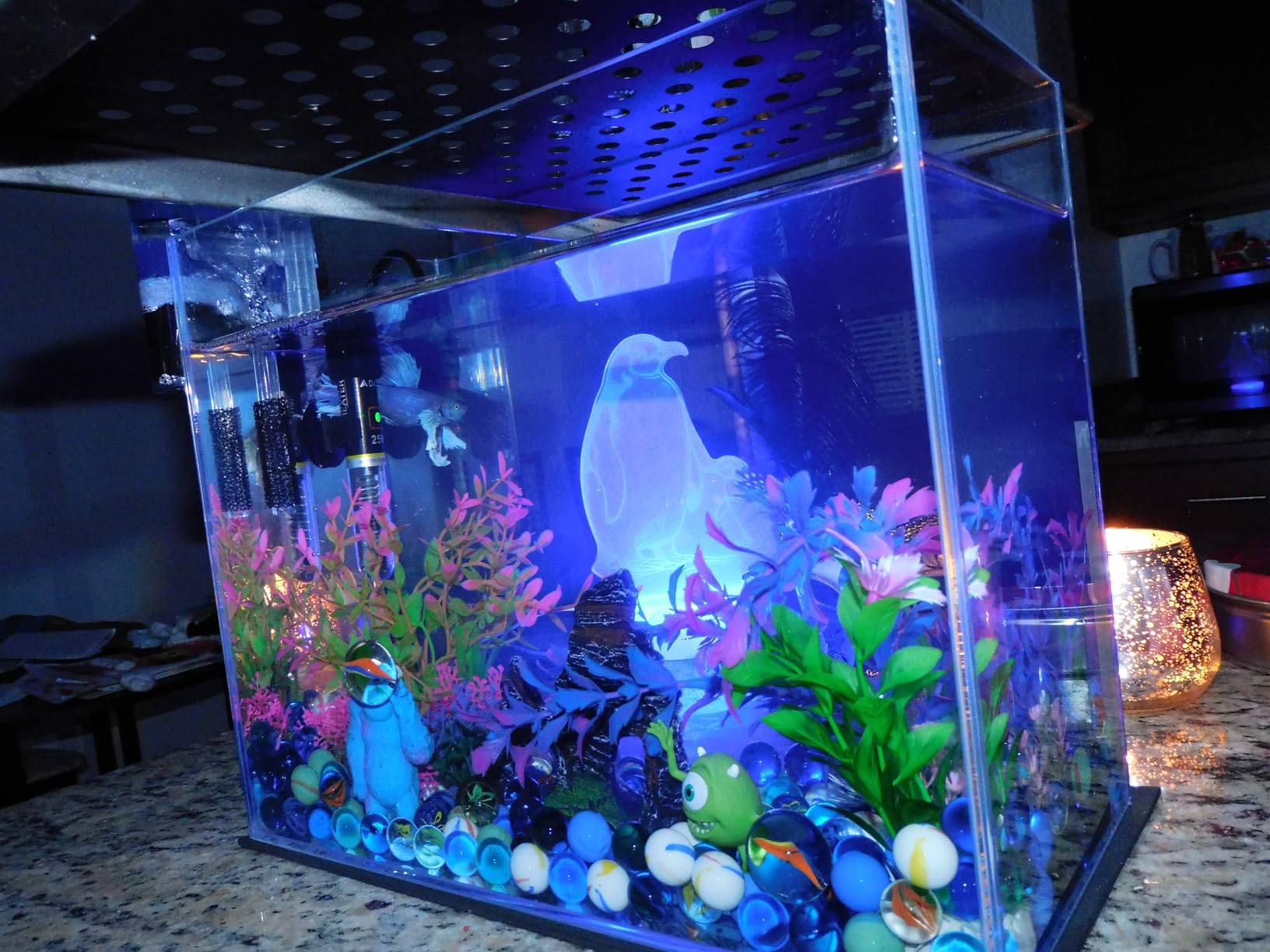 Vimvins 3 Gallon Glass Fish Tank, Easy to Maintain Small Aquarium for Betta/Goldfish/Snails/Shrimp and Aquatic Planting customer photo 2