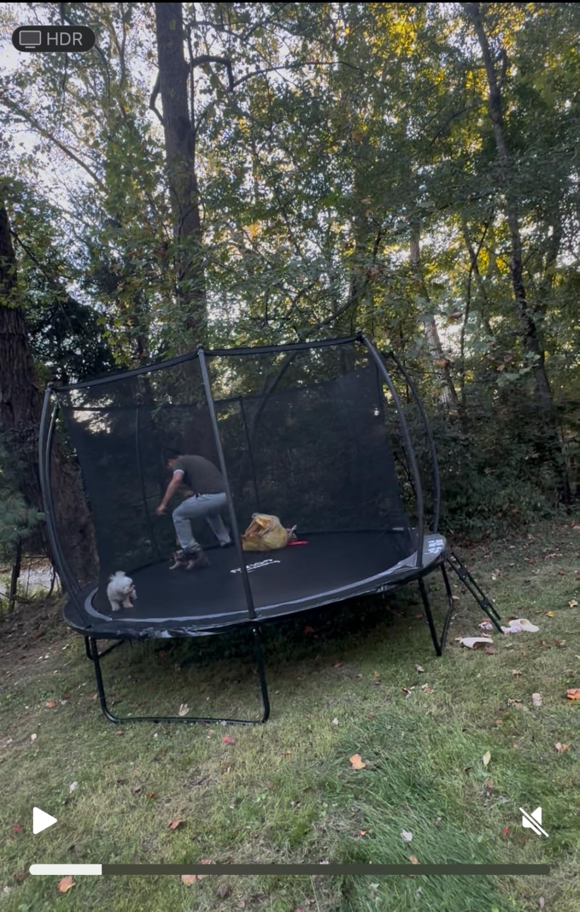 10FT 12FT 14FT 16FT Outdoor Recreational Trampoline with Enclosure Net, Bolt-Free Design Yard Trampoline with Wide Ladder and AntiRust Coating, 2 in 1 Connector for Kids Adults, ASTM Approval customer photo 2
