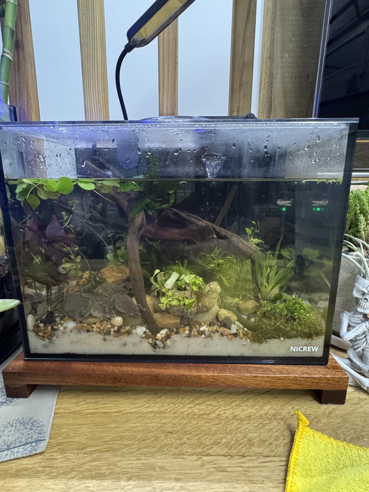NICREW 2.5 Gallon Nano Nature Aquarium Kit, Ultra-Clear Rimless Desktop Fish Tank with Light, Filter, Gravel and Rock, Perfect for Small Fish, Shrimp, or Betta, Complete Version, Black customer photo 1