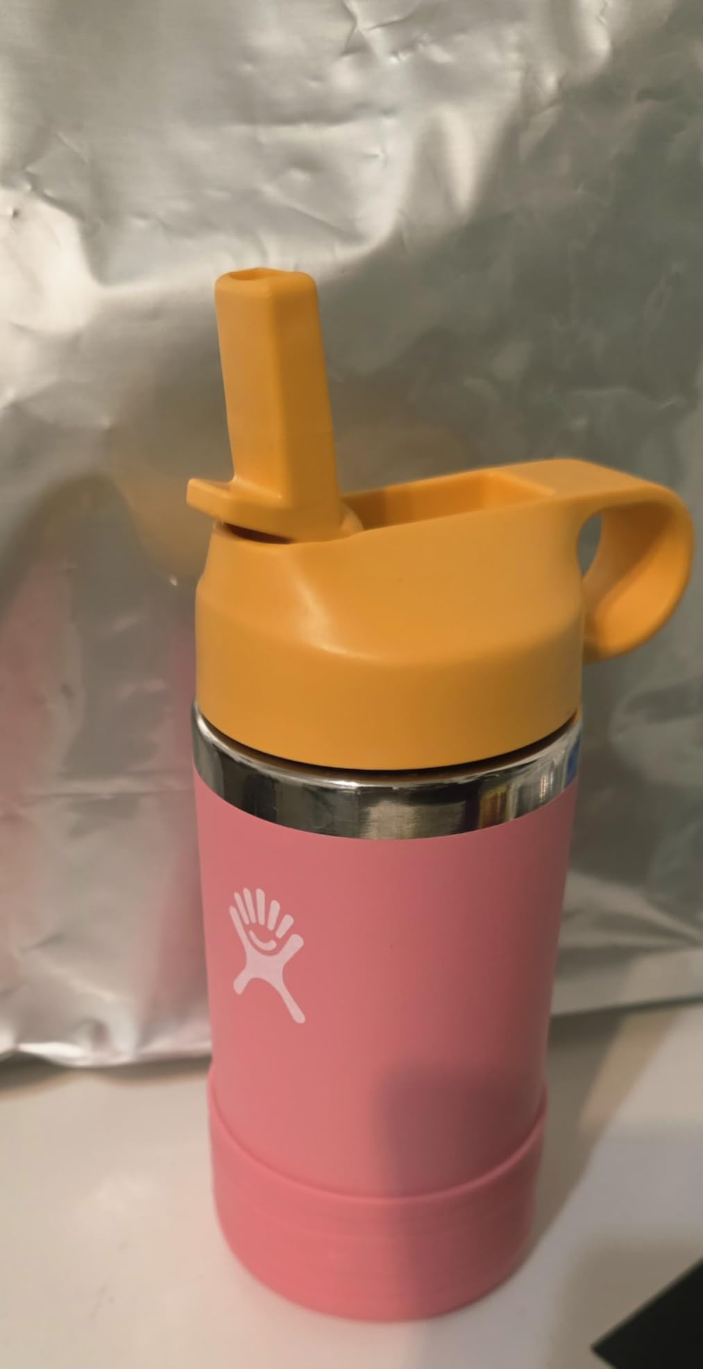 Hydro Flask Kids Water Bottle for School - Stainless Steel and Insulated with Straw Cap - 12 Oz Koala customer photo 2