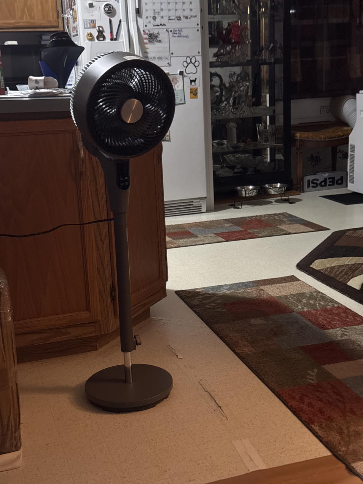 DREO Fan for Bedroom, 2026 Upgraded, 90ft Airflow, 20dB Quiet Fan, 90° Oscillating Standing Fan for Whole Room, DC Motor, 8+H Speeds, 3 Modes, 38-42'' Adjustable Height, 8H Timer customer photo 1