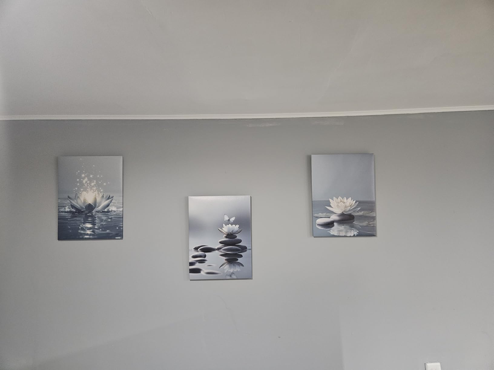 GELDSTEI Calm Zen Botanical Canvas Wall Art, White Lotus Blooming on Stones in Water Aesthetic Pictures, Yoga Spa Meditation Room Decor, Modern Spiritual Poster Prints for Zen Office Framed Set of 3, Each 12x16 Inch customer photo 1