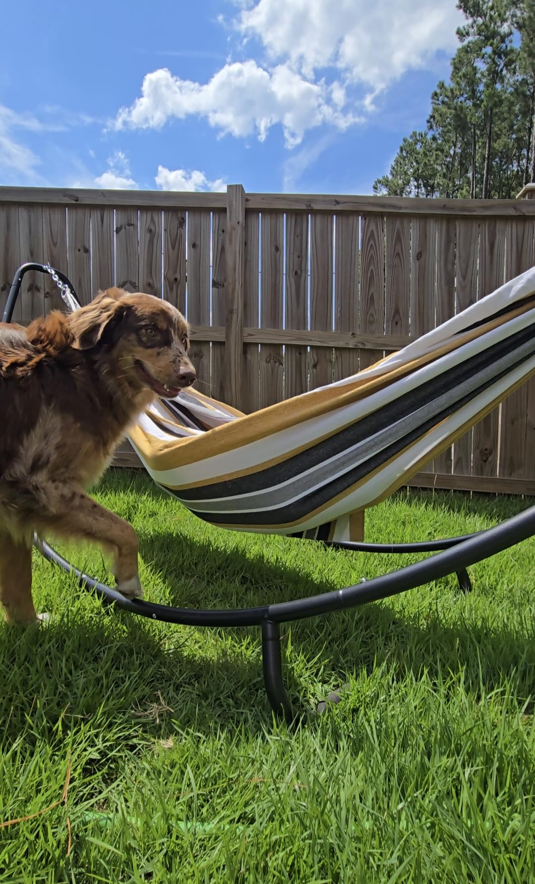 SUNCREAT Hammocks Standing Patio Hammock, Portable Hammock with Stand Foldable, Patent Pending, Blue Green customer photo 2