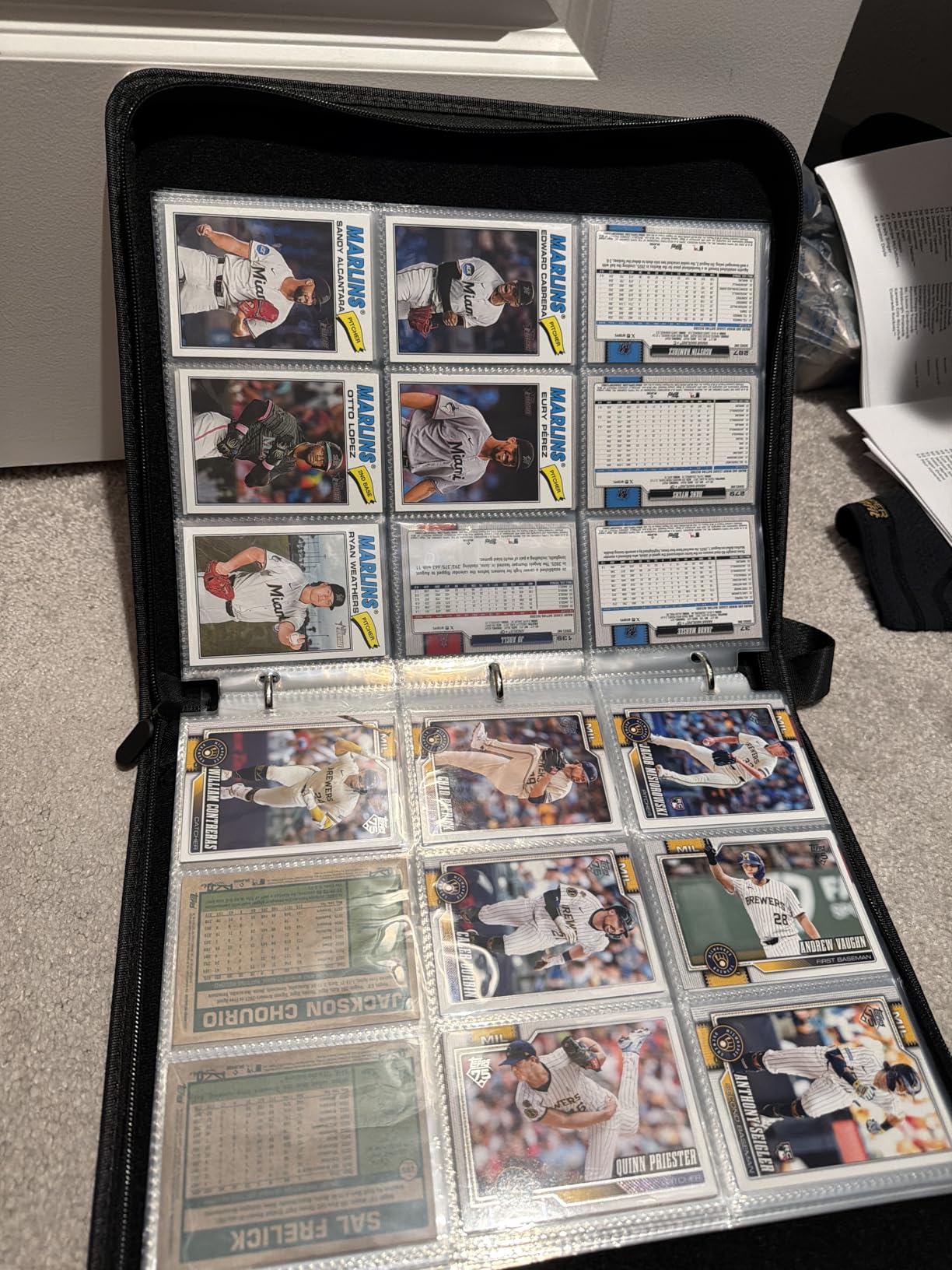 Portable 9-Pocket Trading Card Binder, Holds 1080 Cards with 60 Removable Double-Sided Sleeves, Baseball Card Binder Card Storage Organizer Album customer photo 1