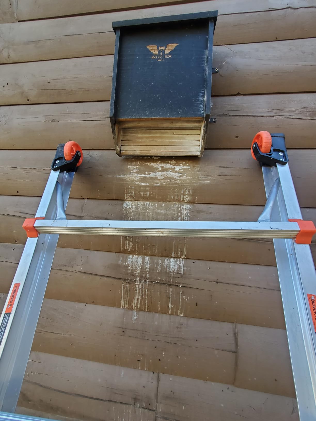 WildYard Big Bat Barn - 3-Chamber, Large Bat House - Black, Up to 150 Bats - Ventilated Design for Year-Round Roosting - Textured Landing Pad - Preassembled Wall-Mount customer photo 1