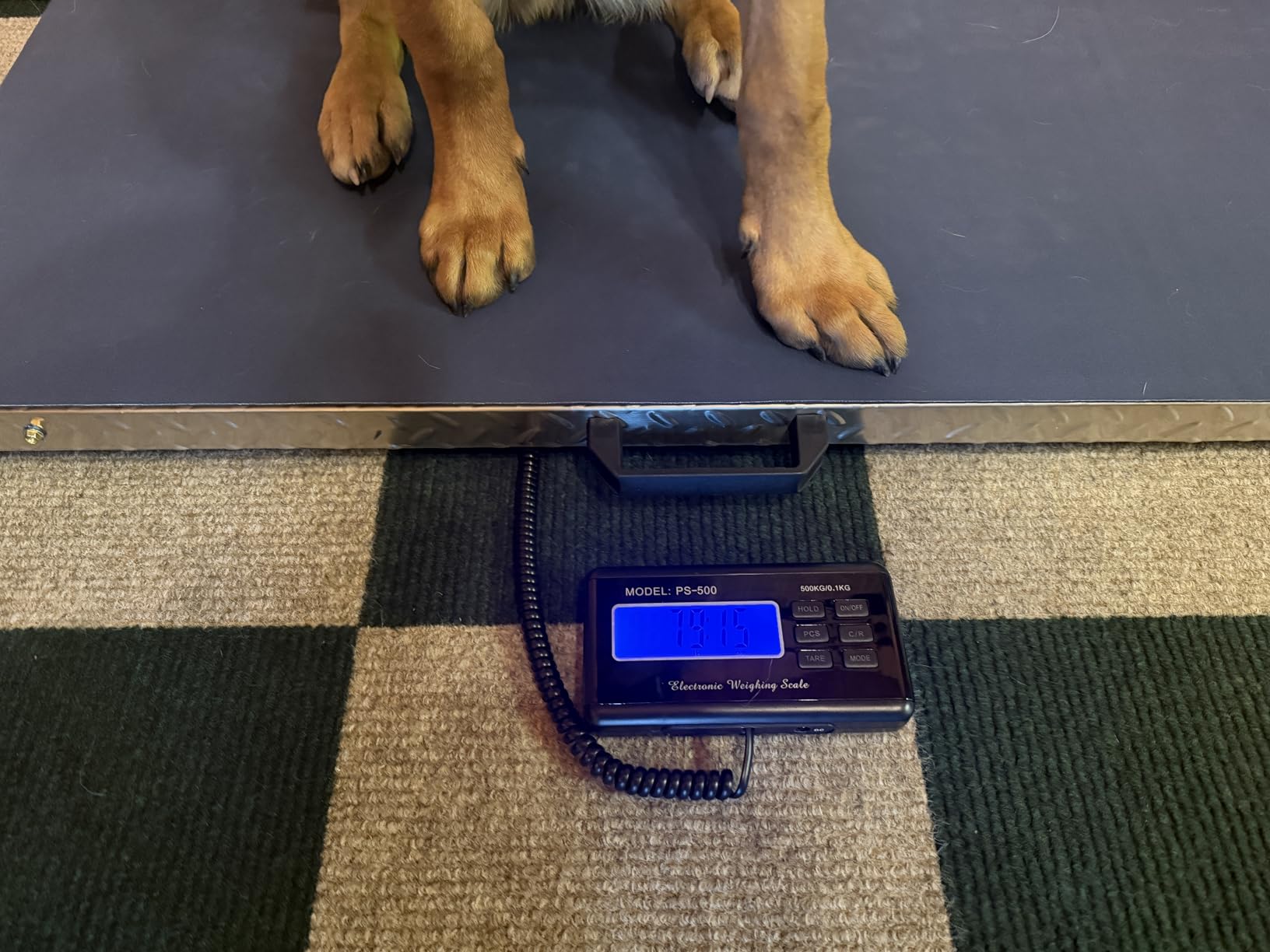 Antstone Dog Scale for Large Breed 1100lb X 0.2lb Livestock Scale for Pigs, Cattle with 40.7