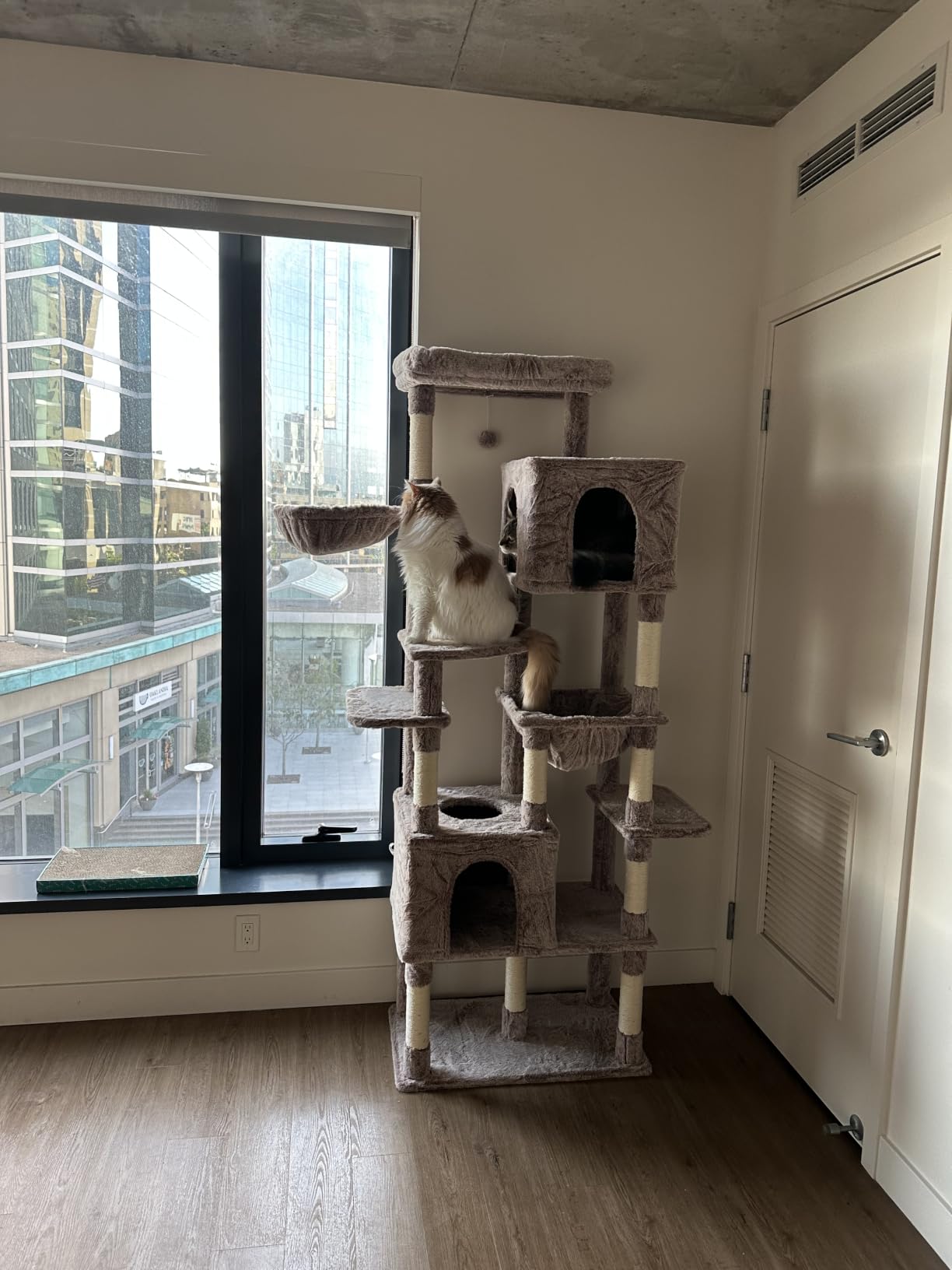 Heybly Cat Tree, 76-Inch Tall Heavy Duty Cat Tower for Big Cats HCT039G customer photo 2