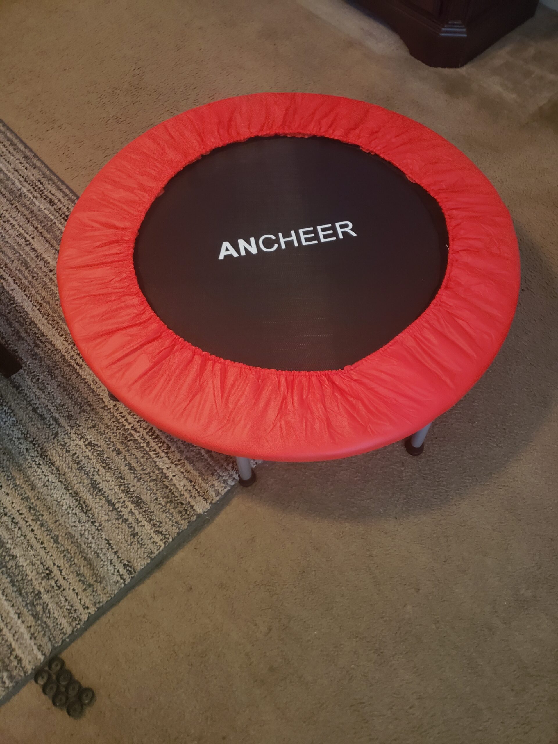 ANCHEER Trampoline for Kids, Toddler Trampoline Indoor Sports and Outdoor Games 56