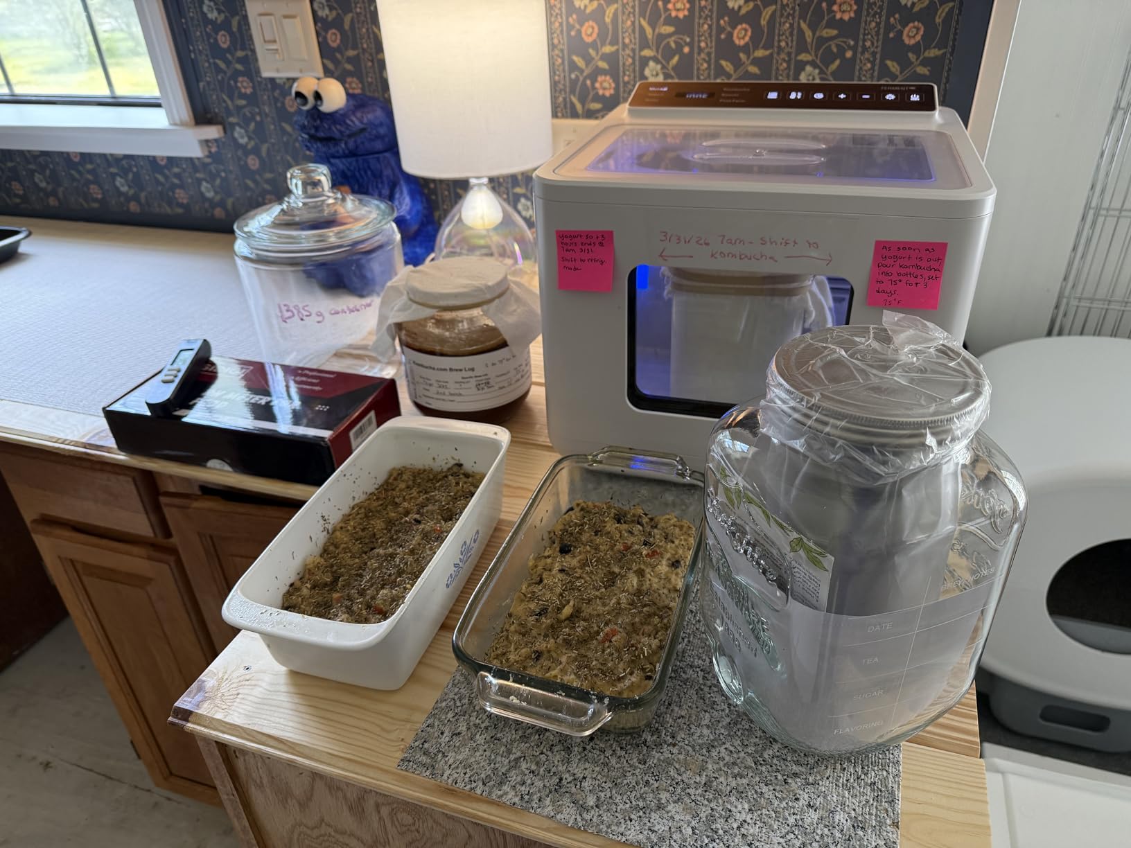 12.8L Smart Yogurt Maker Machine & Fermentation Kit, Kombucha, Kimchi, Natto, tempeh, Sourdough Maker, Temp Control 50-115°F, Timer 1 Hr -30 Day, Post-Ferment Cooling customer photo 2