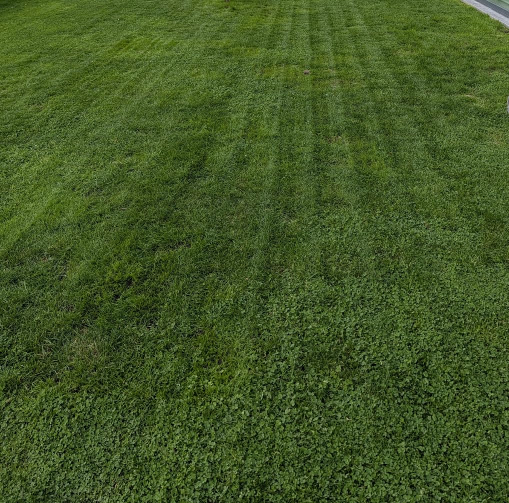 LiDAX Ultra 1000 Robot Lawn Mower Wire Free for 1/4 Acre, RTK-Free+360 Degree 3D LiDAR+AI Vision Auto Mapping, Zero-Edge Cutting, Cutting Height 1.2-3.9, 45% Slope, Up to 150 Managed Zones Dual Maps customer photo 1