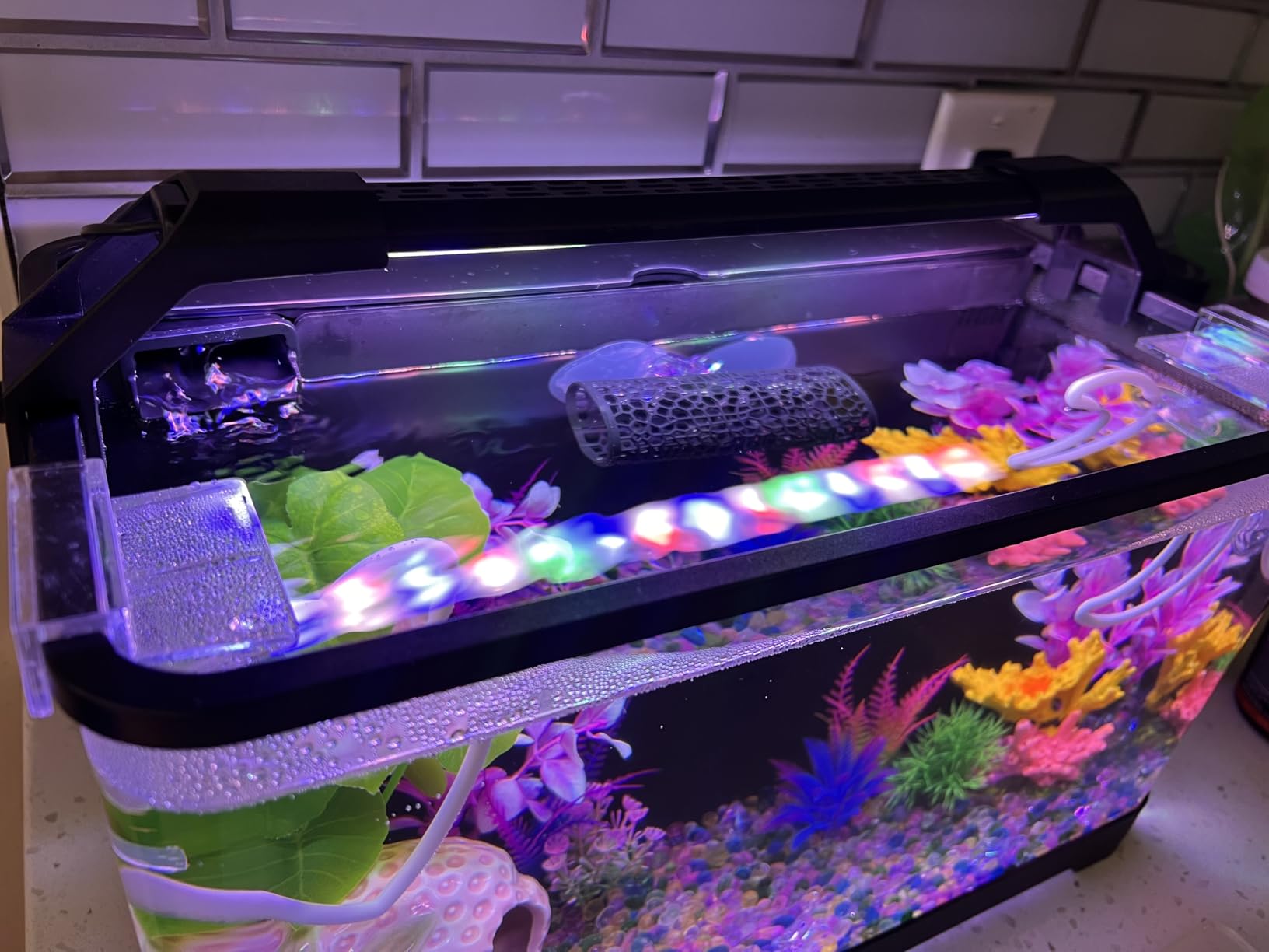 3.5 Gallon Betta Fish Tank, All in One Aquarium Starter Kits with Back Filter, Adjustable Pump, 25W Heater, Thermometer Strip, LED Light with Timer & Water Changer Kit, Nano Fish Tank, AIO Aquarium customer photo 1