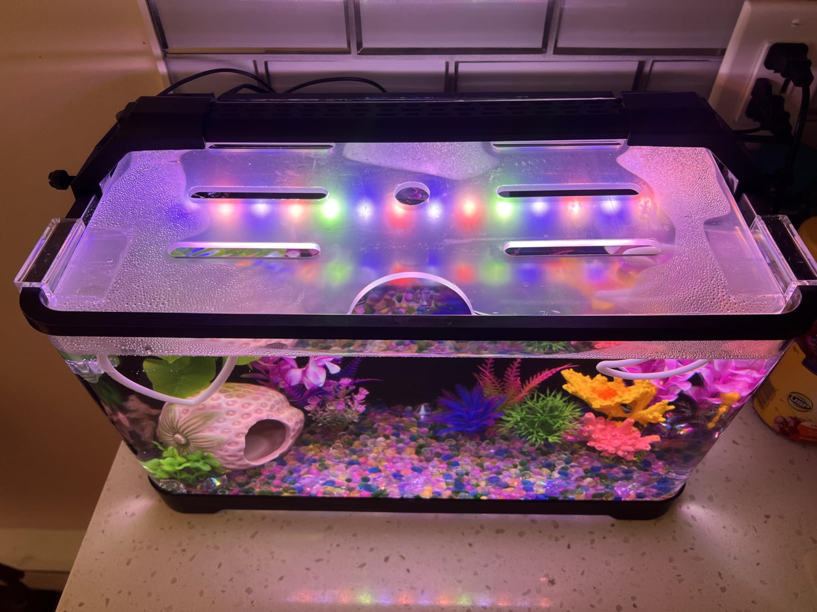3.5 Gallon Betta Fish Tank, All in One Aquarium Starter Kits with Back Filter, Adjustable Pump, 25W Heater, Thermometer Strip, LED Light with Timer & Water Changer Kit, Nano Fish Tank, AIO Aquarium customer photo 2