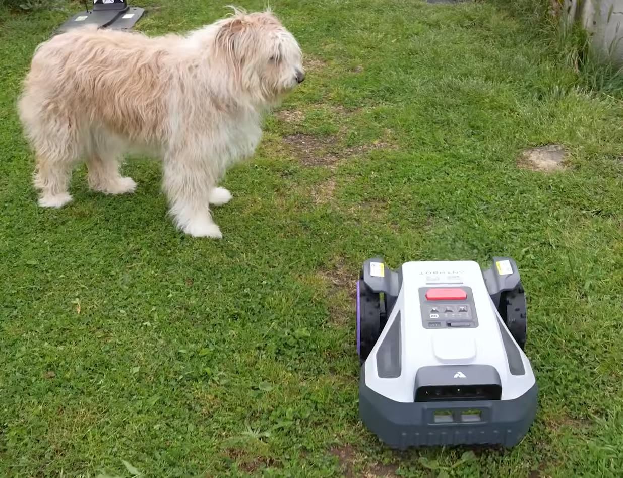 ANTHBOT M5 Robot Lawn Mower 1/8 Acre, Dual Vision+Full-Band RTK Robotic Lawnmower, No Perimeter Wire, App Control Obstacle Avoidance, 45% Slope, Cutting Height, Multi-Zone Mapping customer photo 1